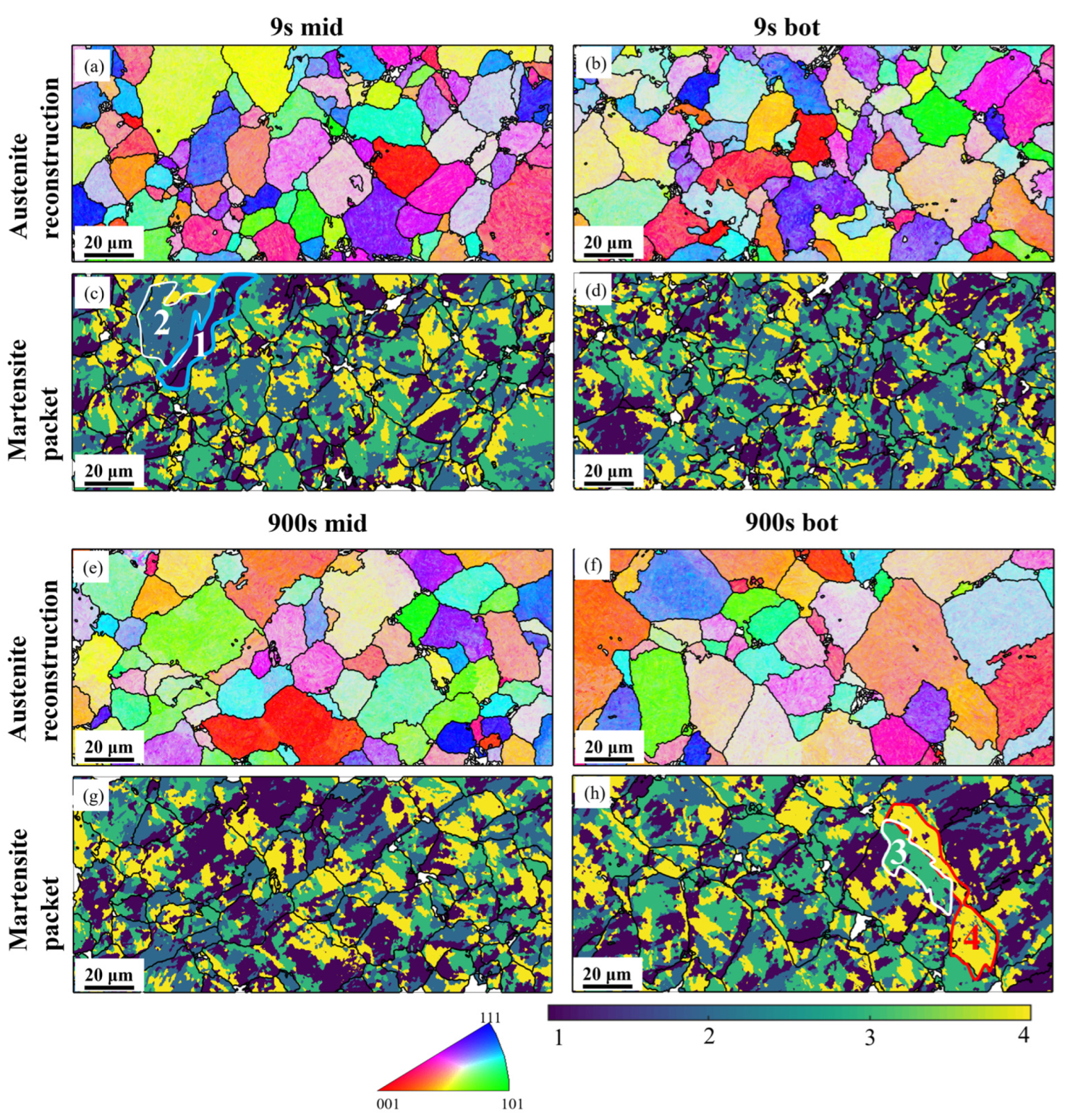 Processes 13 00441 g003