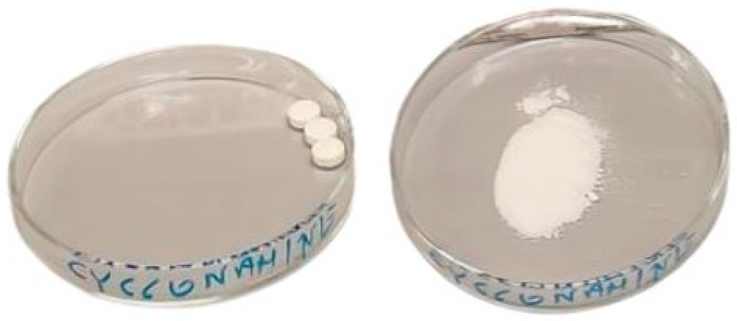 Processes 13 00444 g002