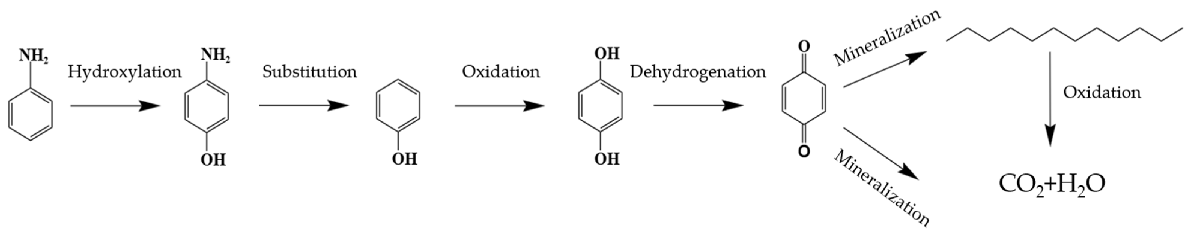 Processes 13 00446 g013