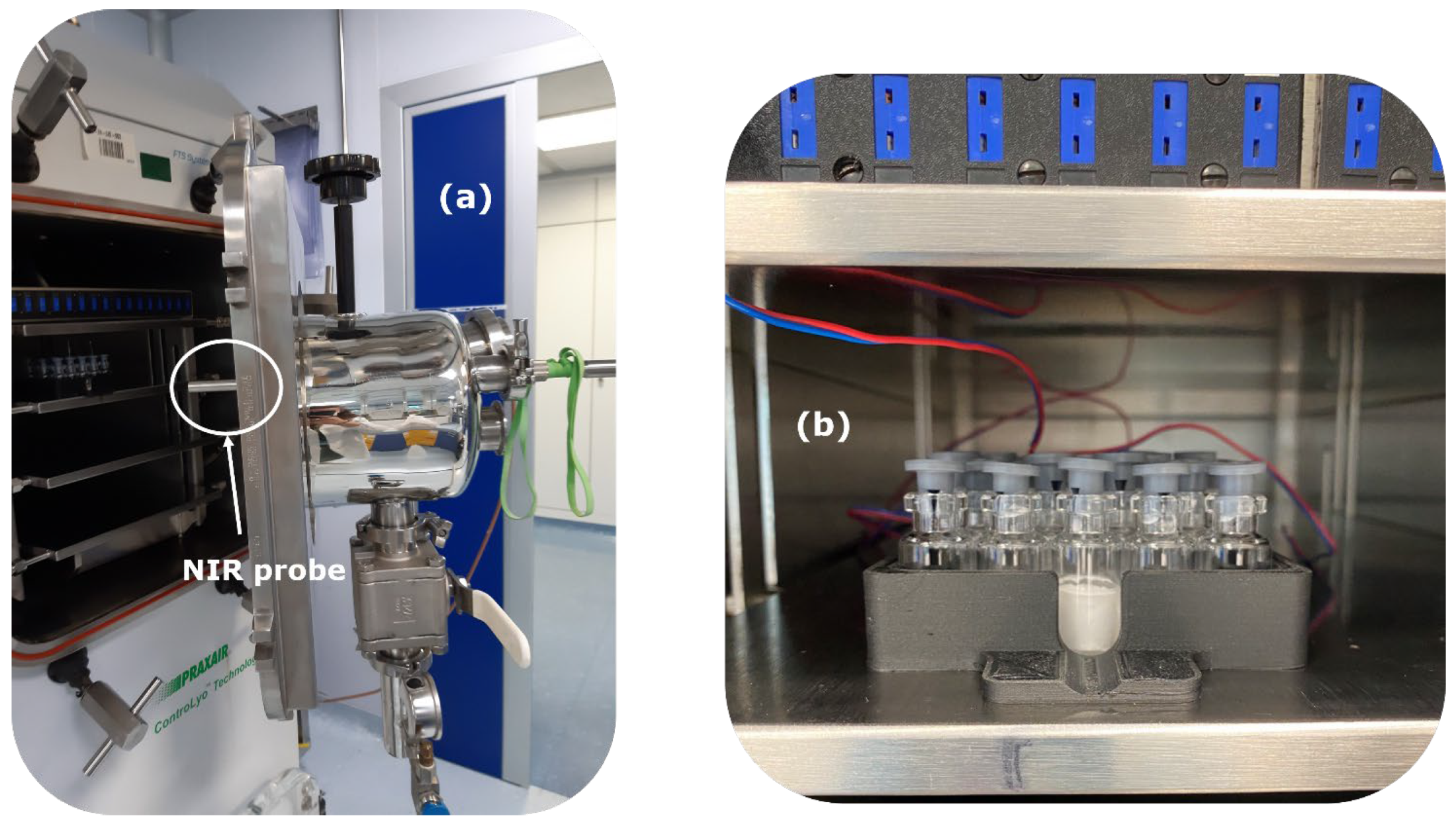 Processes 13 00452 g001