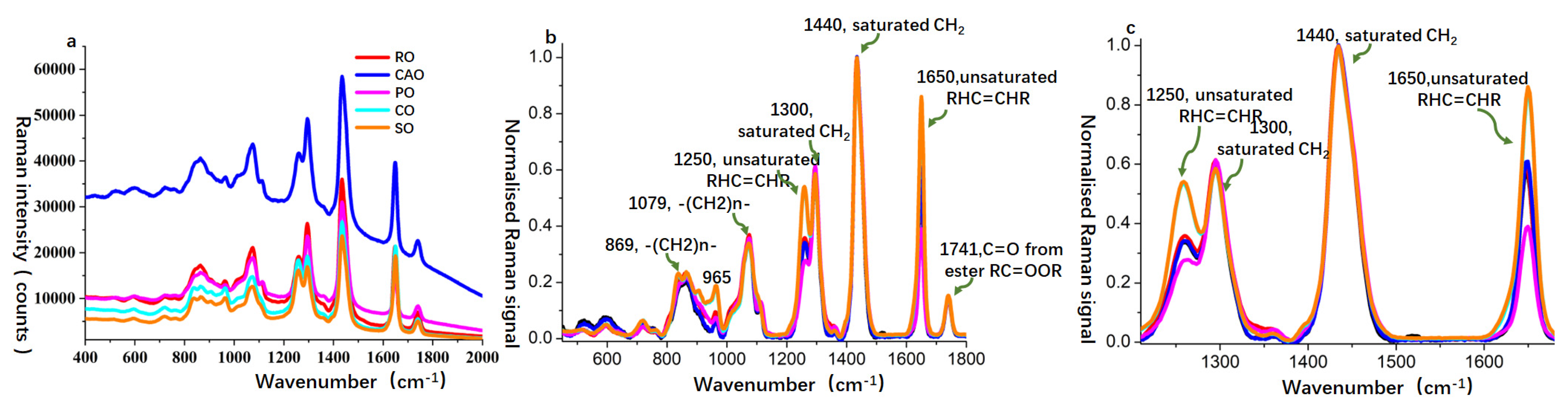 Processes 13 00456 g001