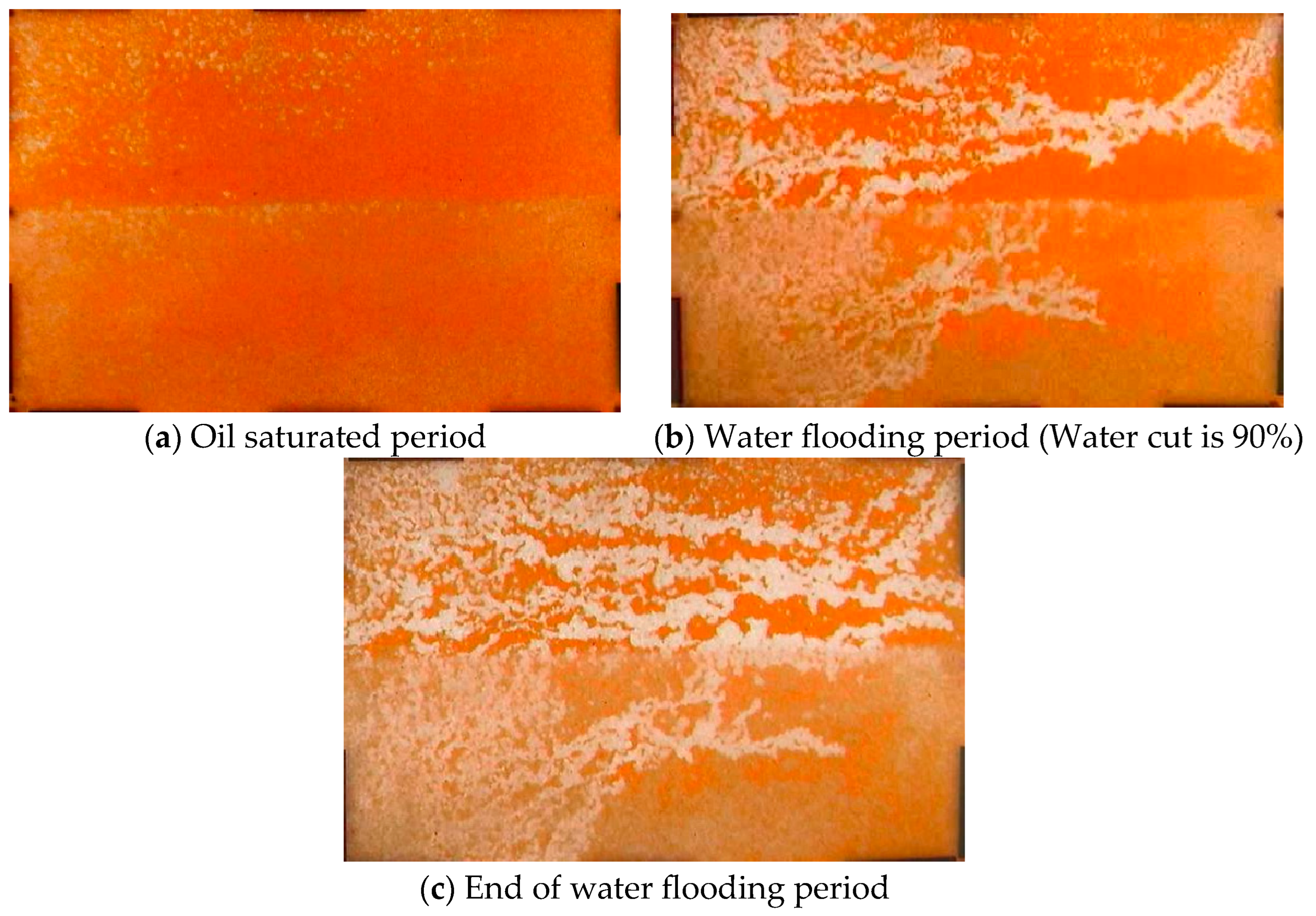 Processes 13 00457 g005