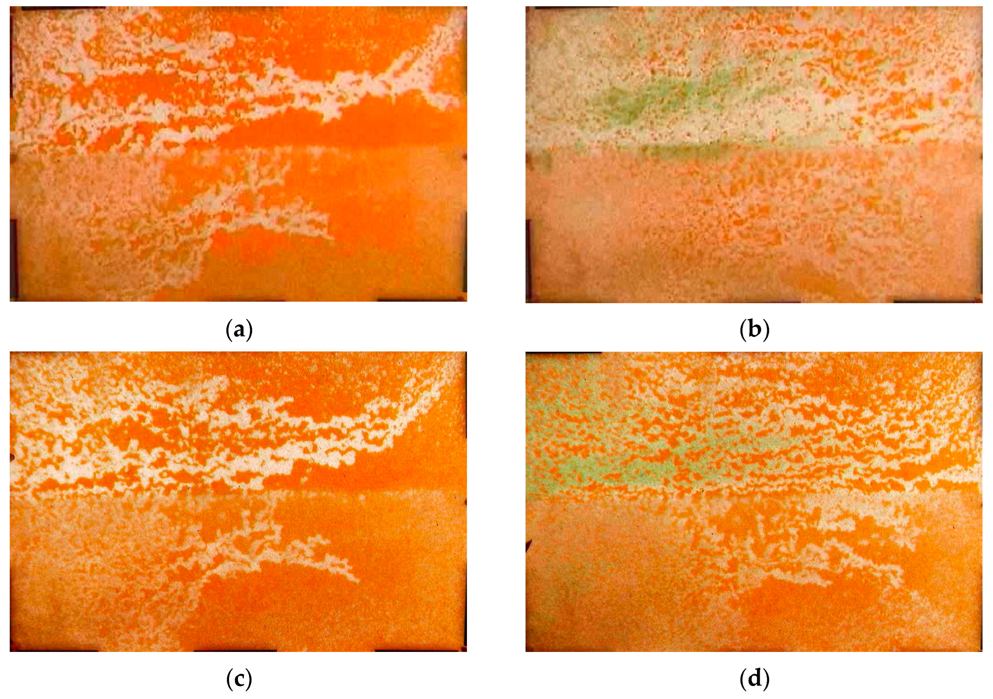 Processes 13 00457 g008