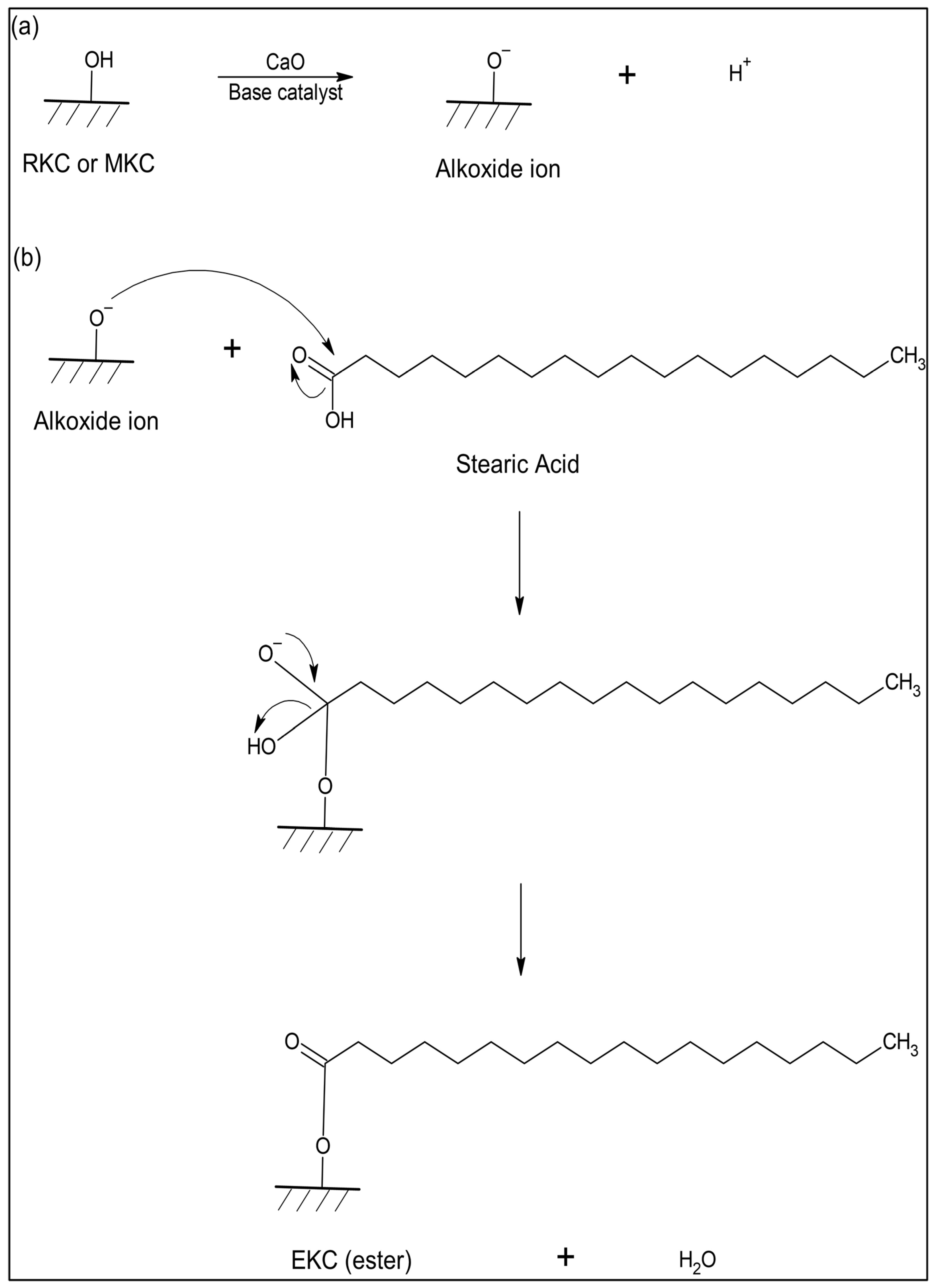 Processes 13 00463 g002