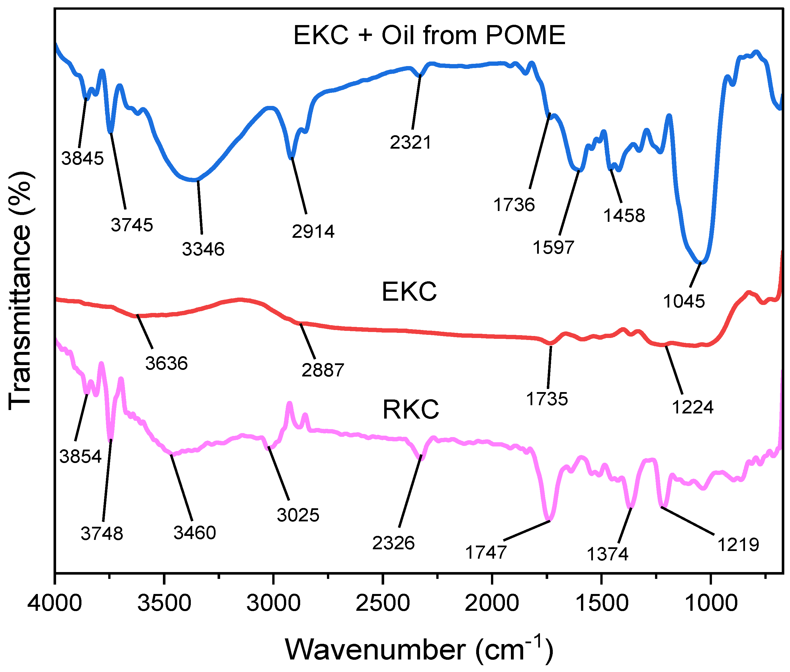 Processes 13 00463 g009