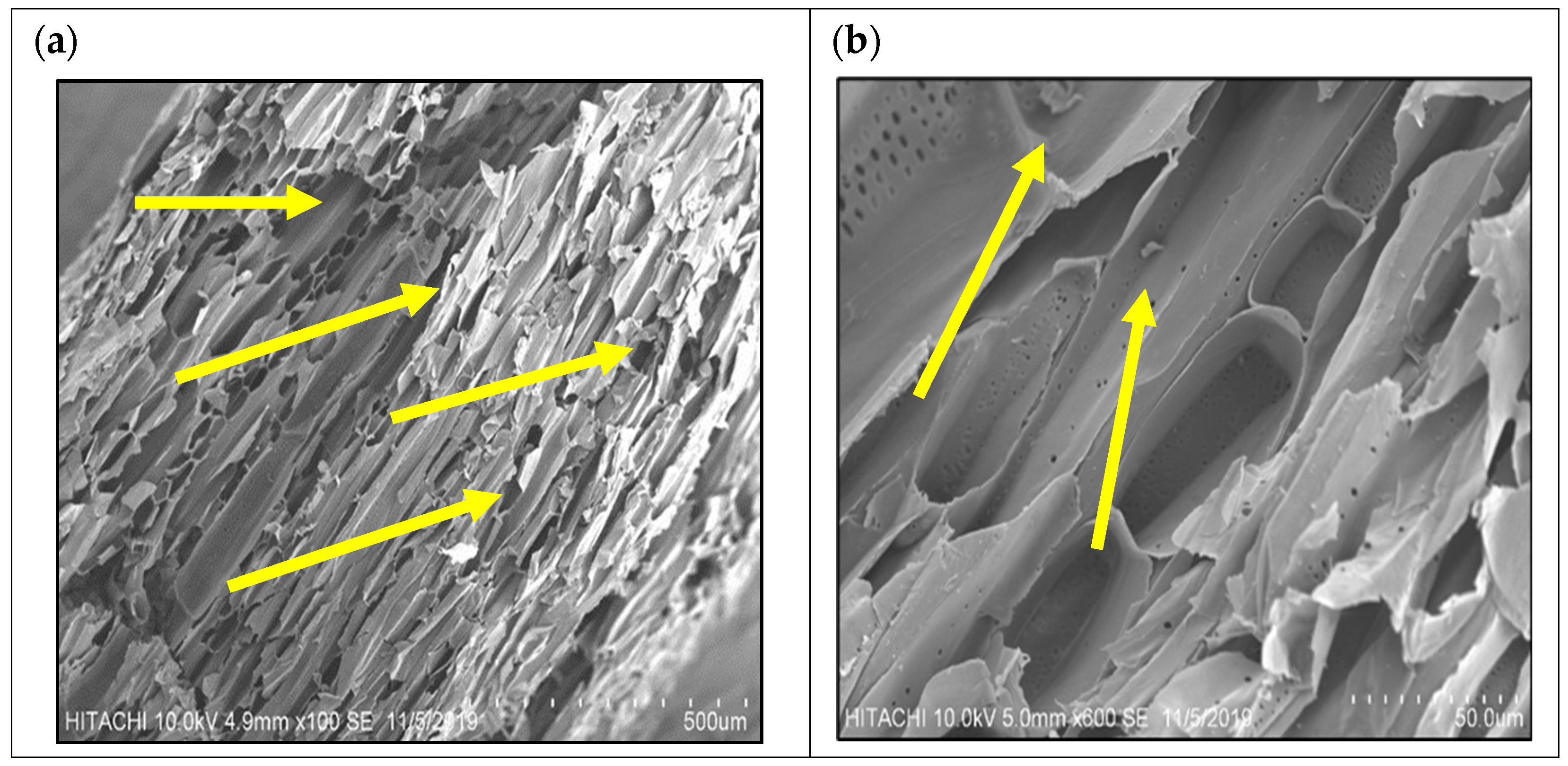 Processes 13 00463 g010