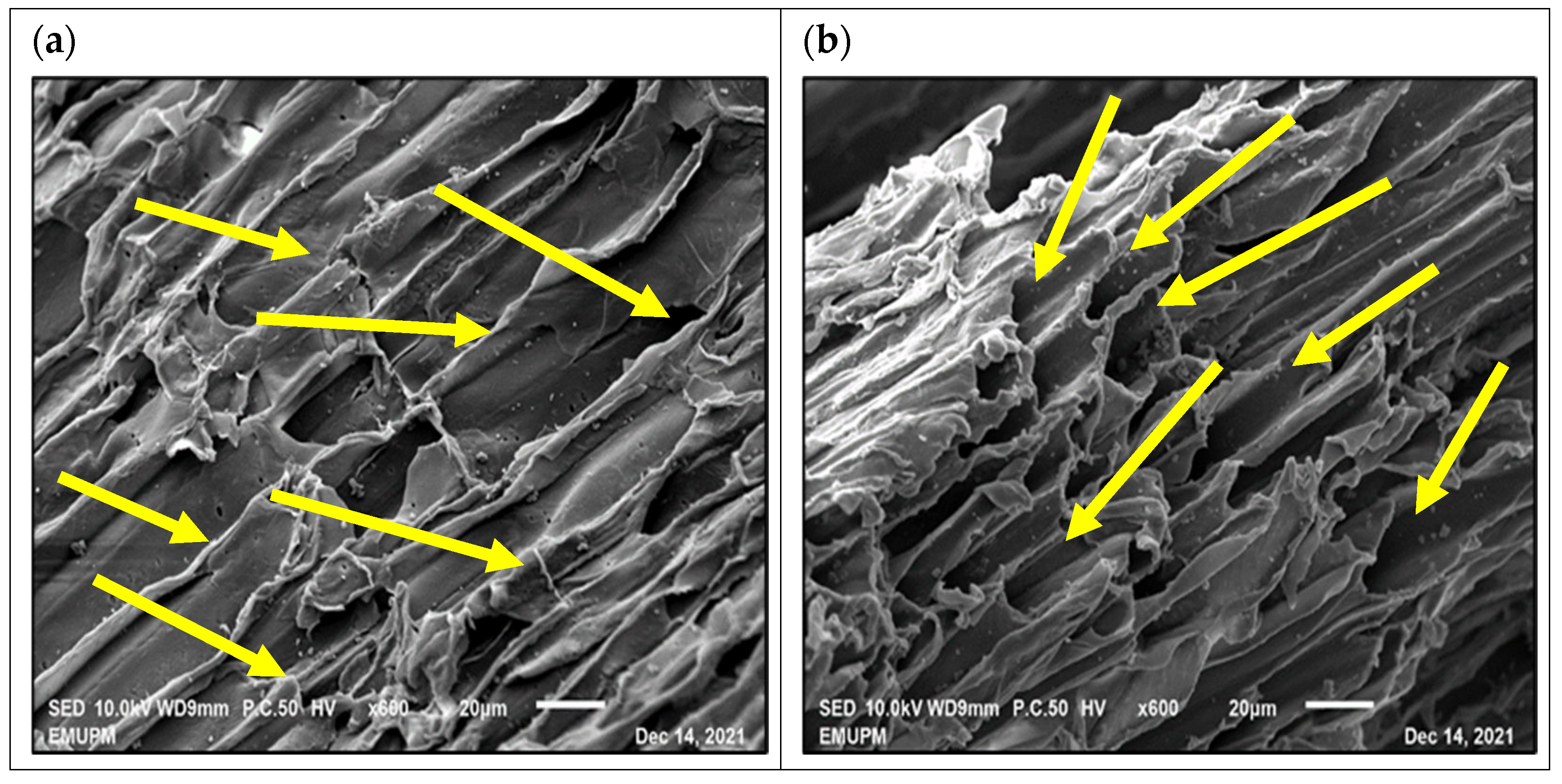 Processes 13 00463 g012