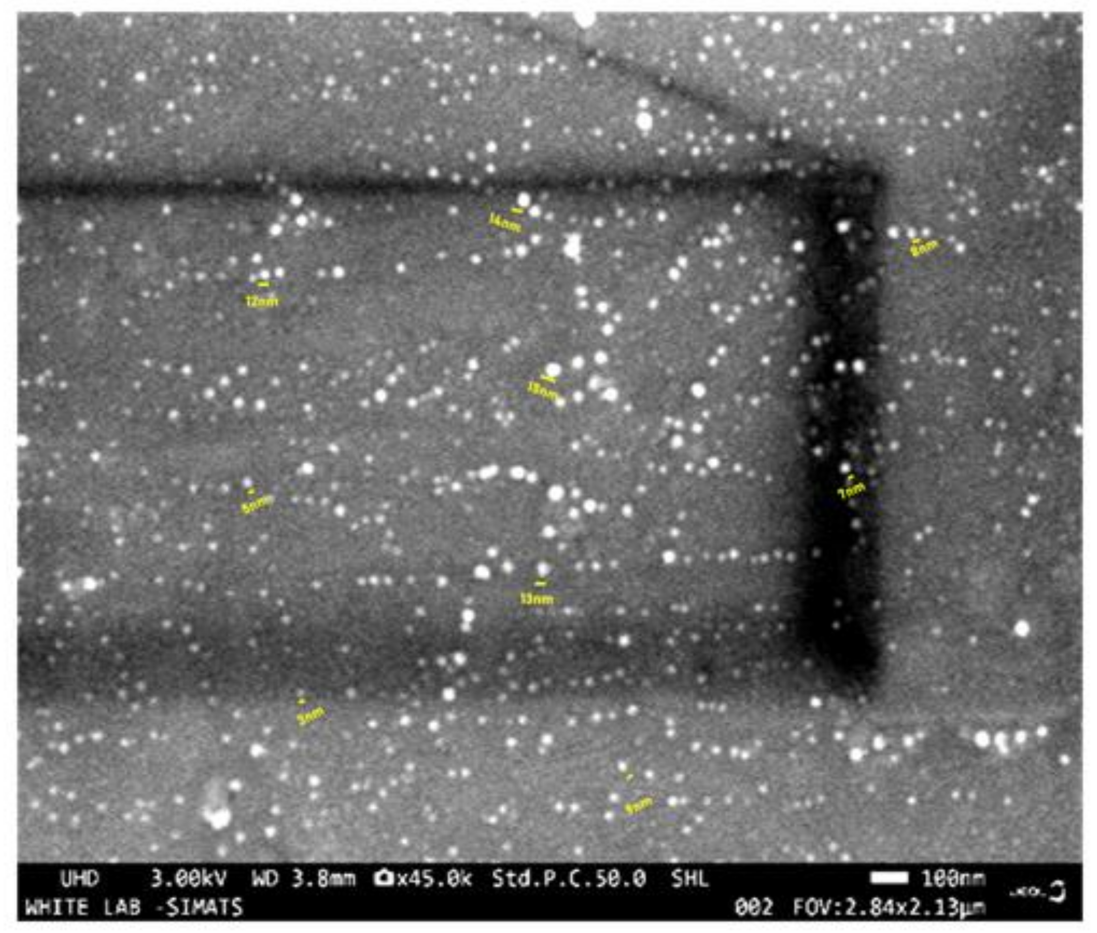 Processes 13 00484 g002