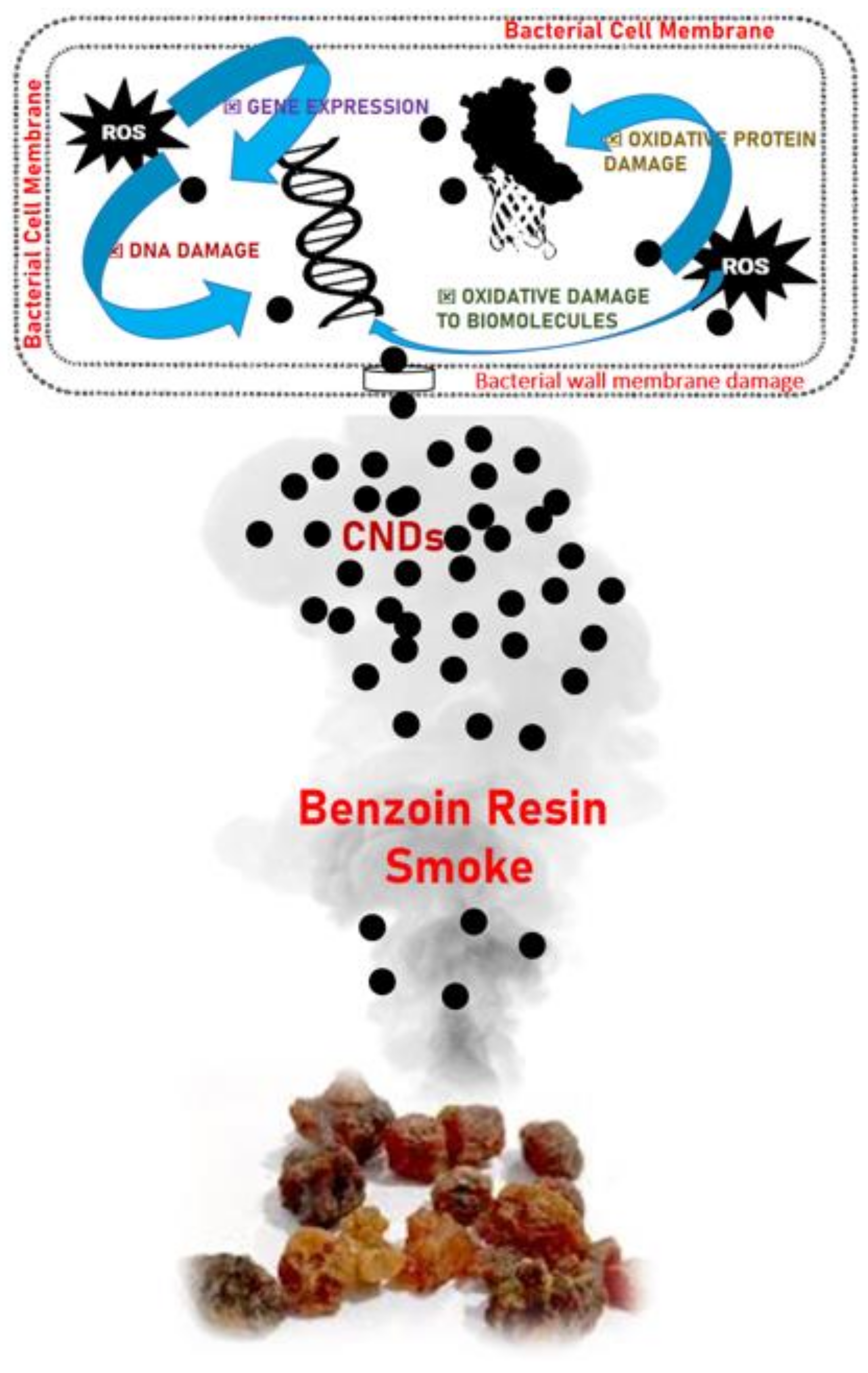 Processes 13 00484 g008