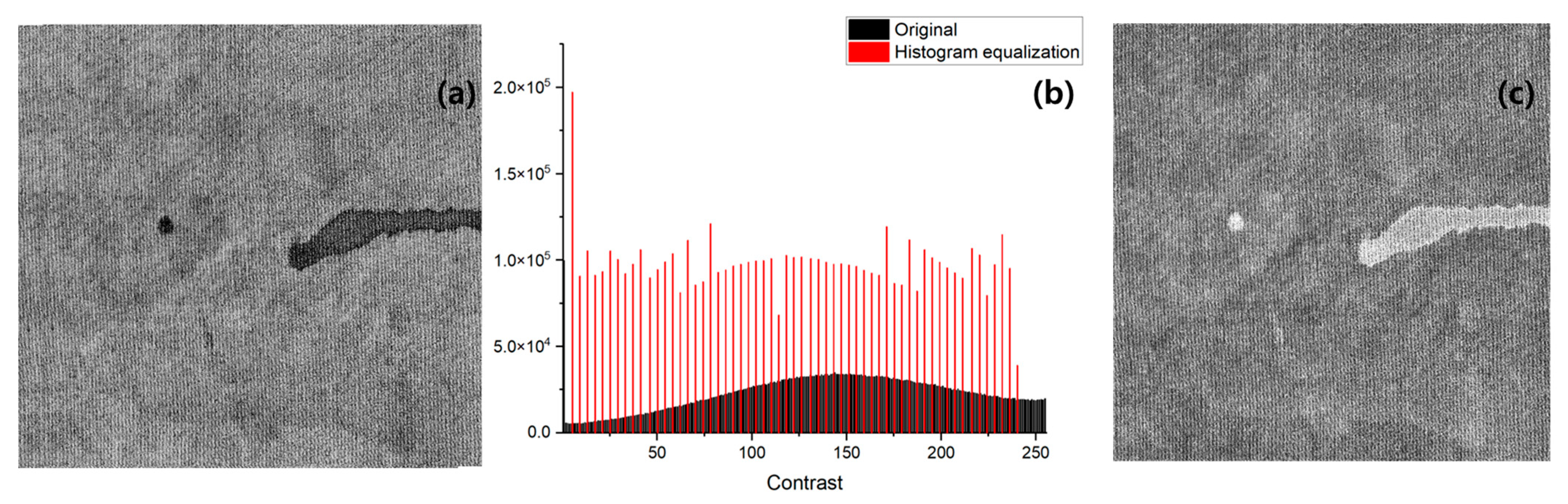 Processes 13 00486 g006
