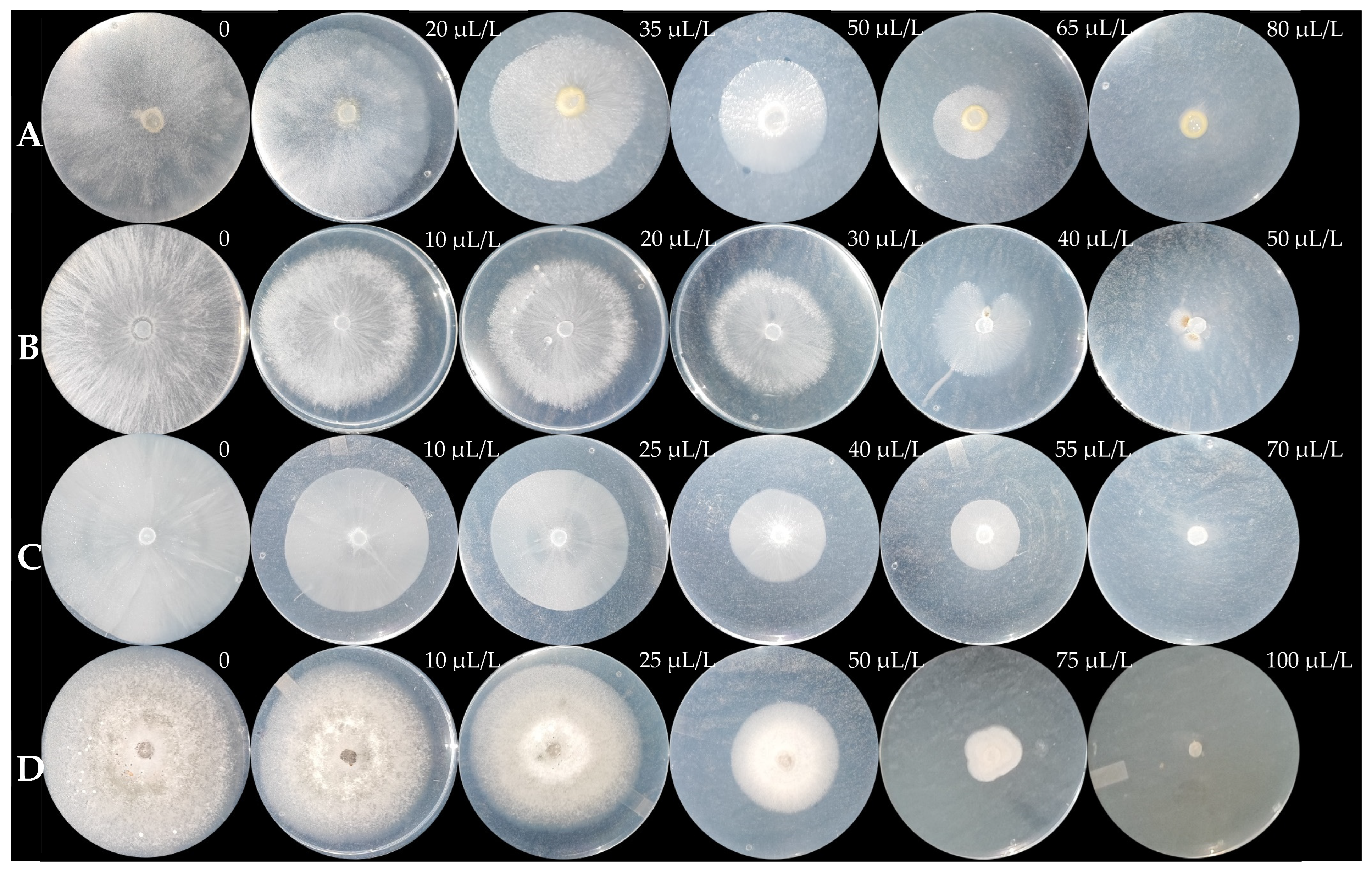 Processes 13 00490 g006
