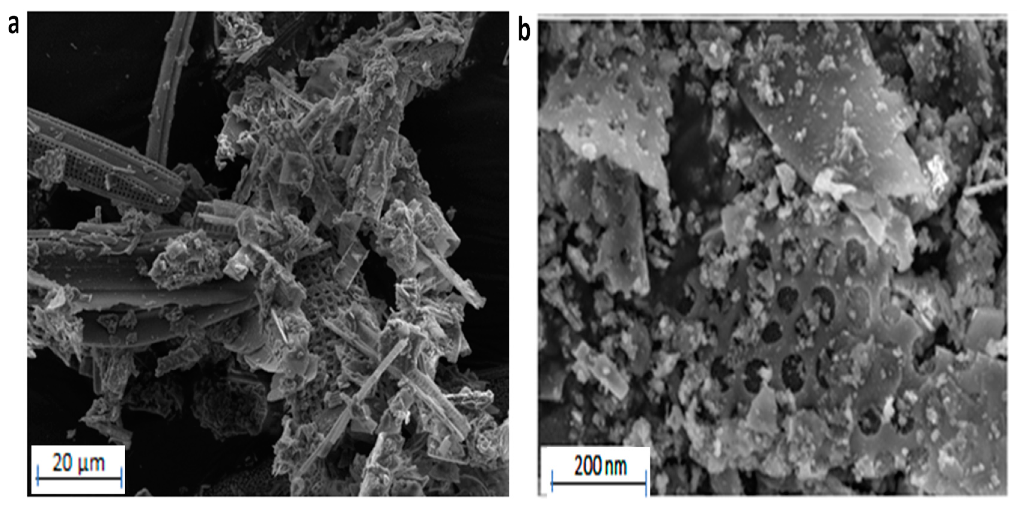 Processes 13 00501 g002