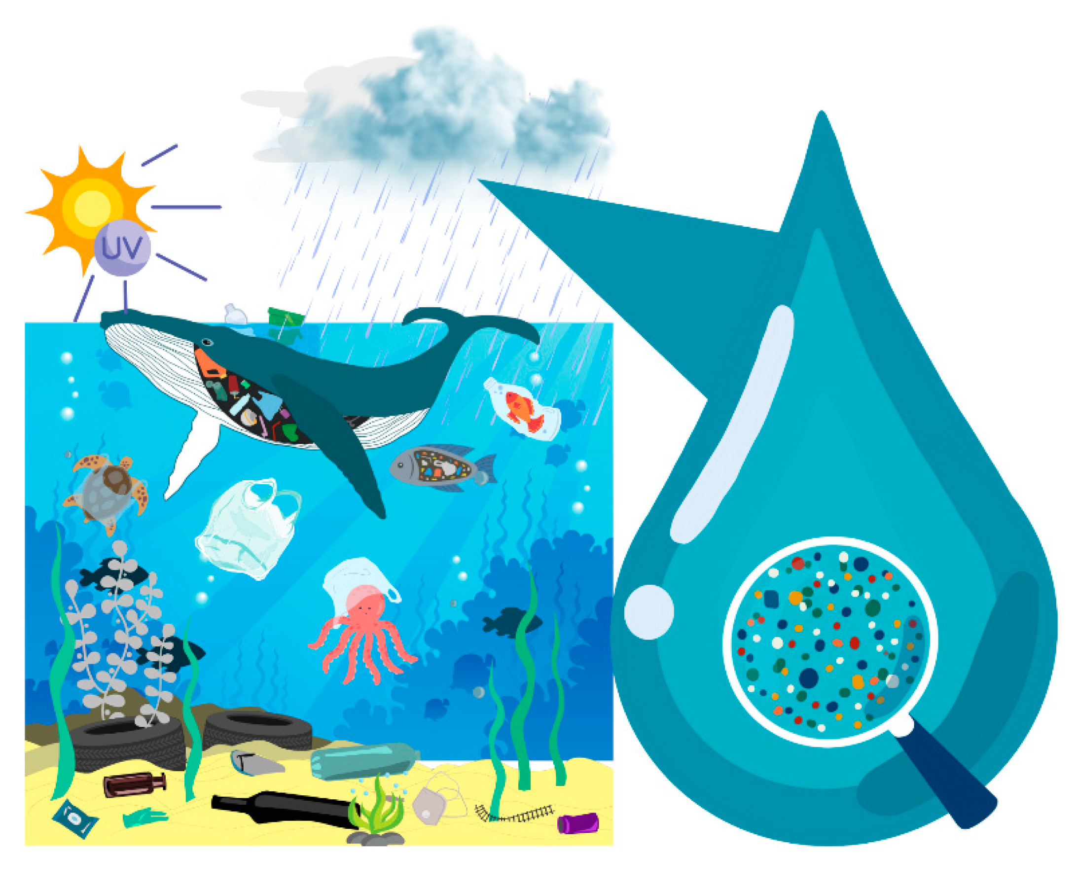 Processes 13 00502 g001