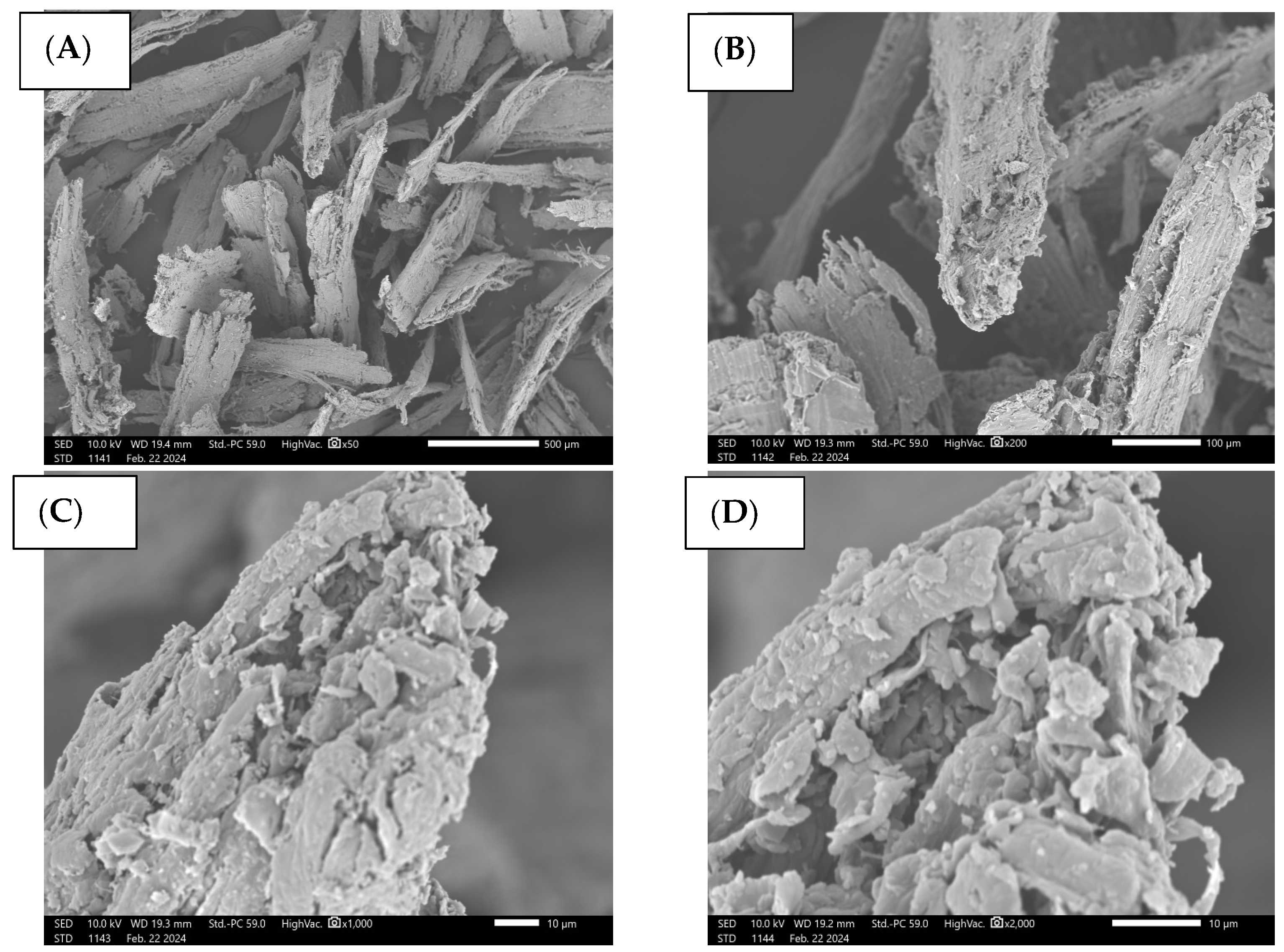 Processes 13 00504 g002