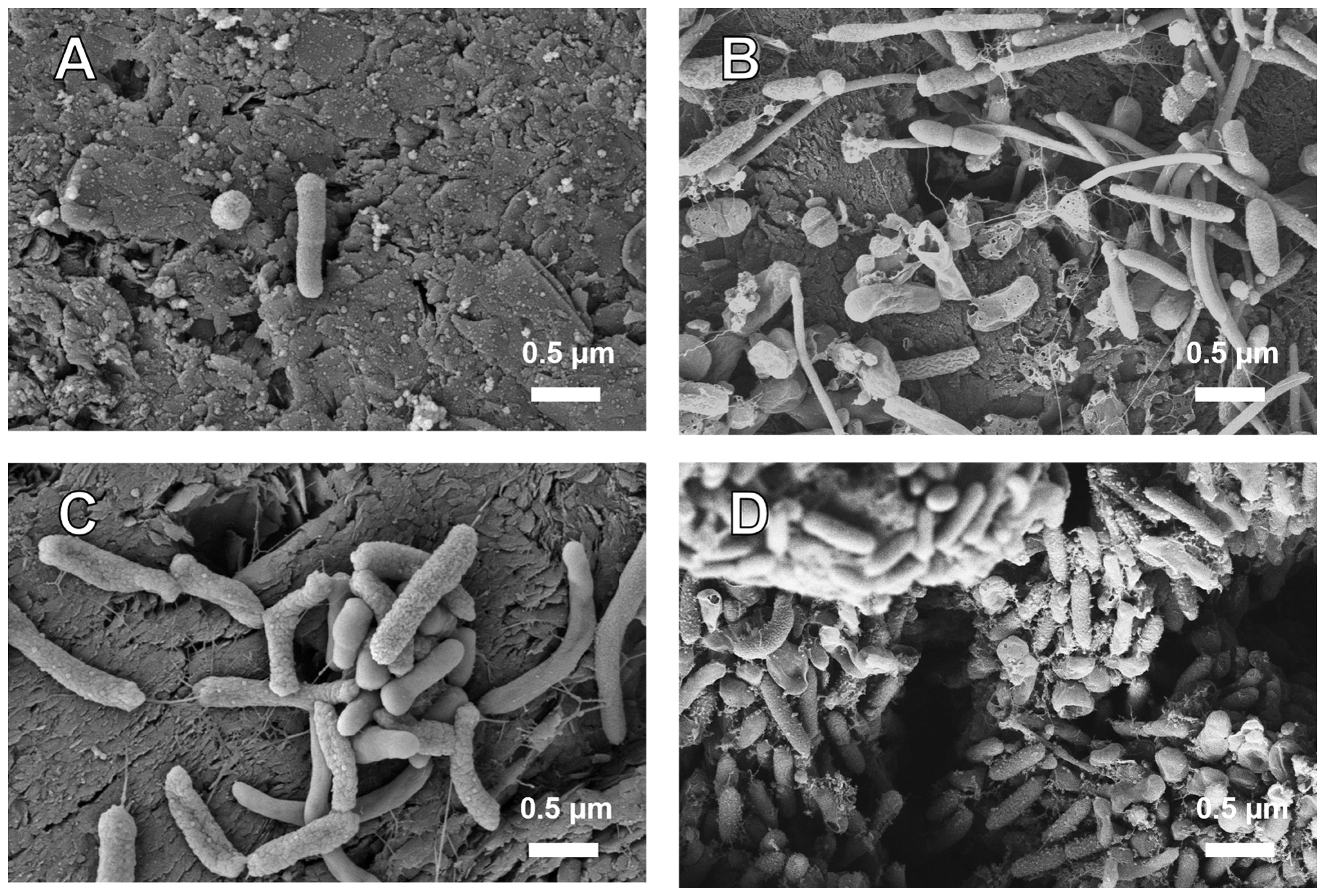 Processes 13 00509 g005