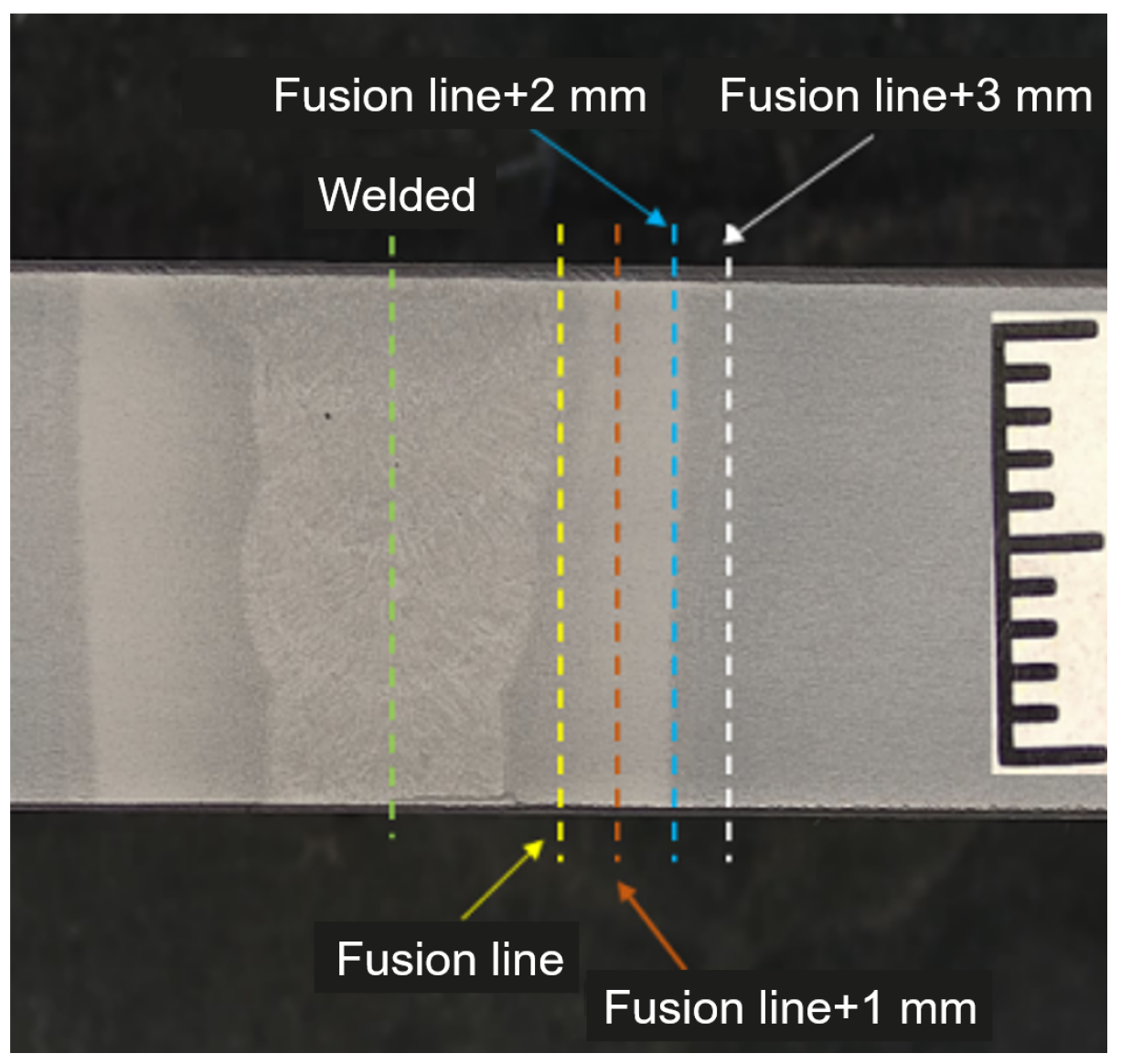 Processes 13 00512 g001
