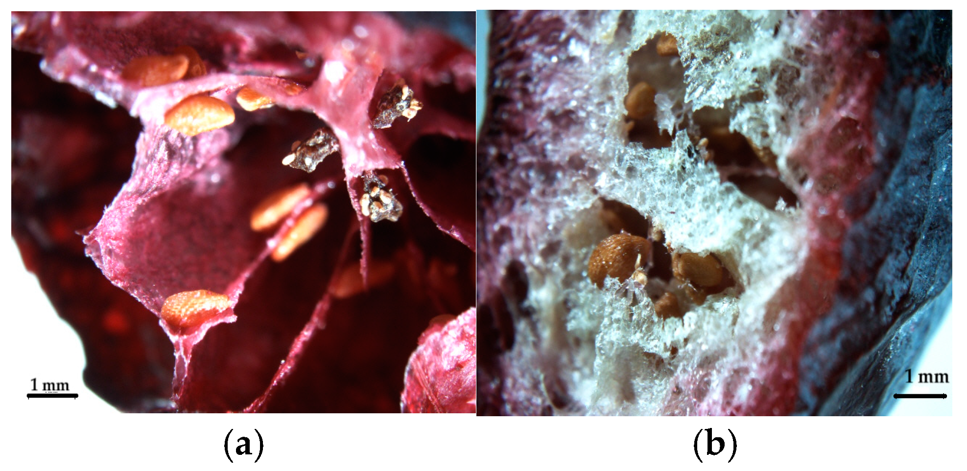 Processes 13 00537 g002