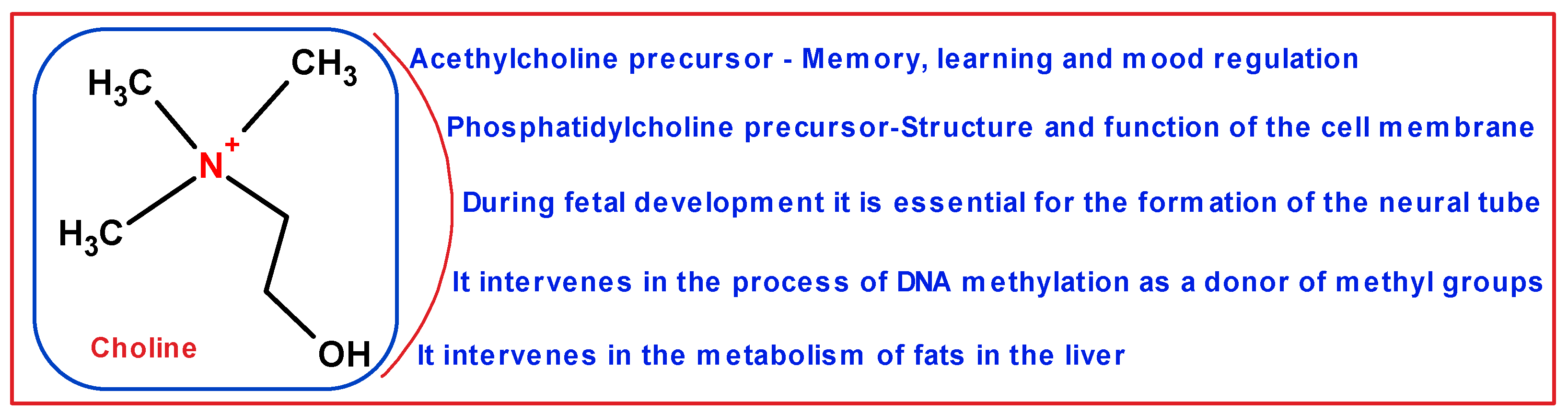 Processes 13 00553 g001 Processes 13 00553 g001