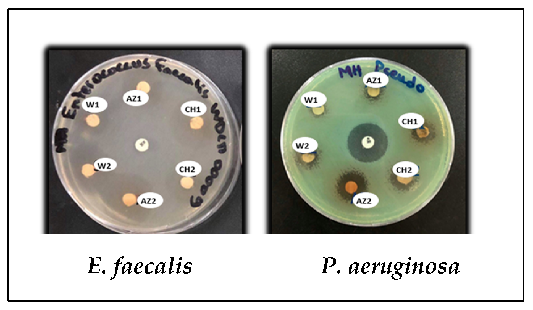 Processes 13 00559 g005