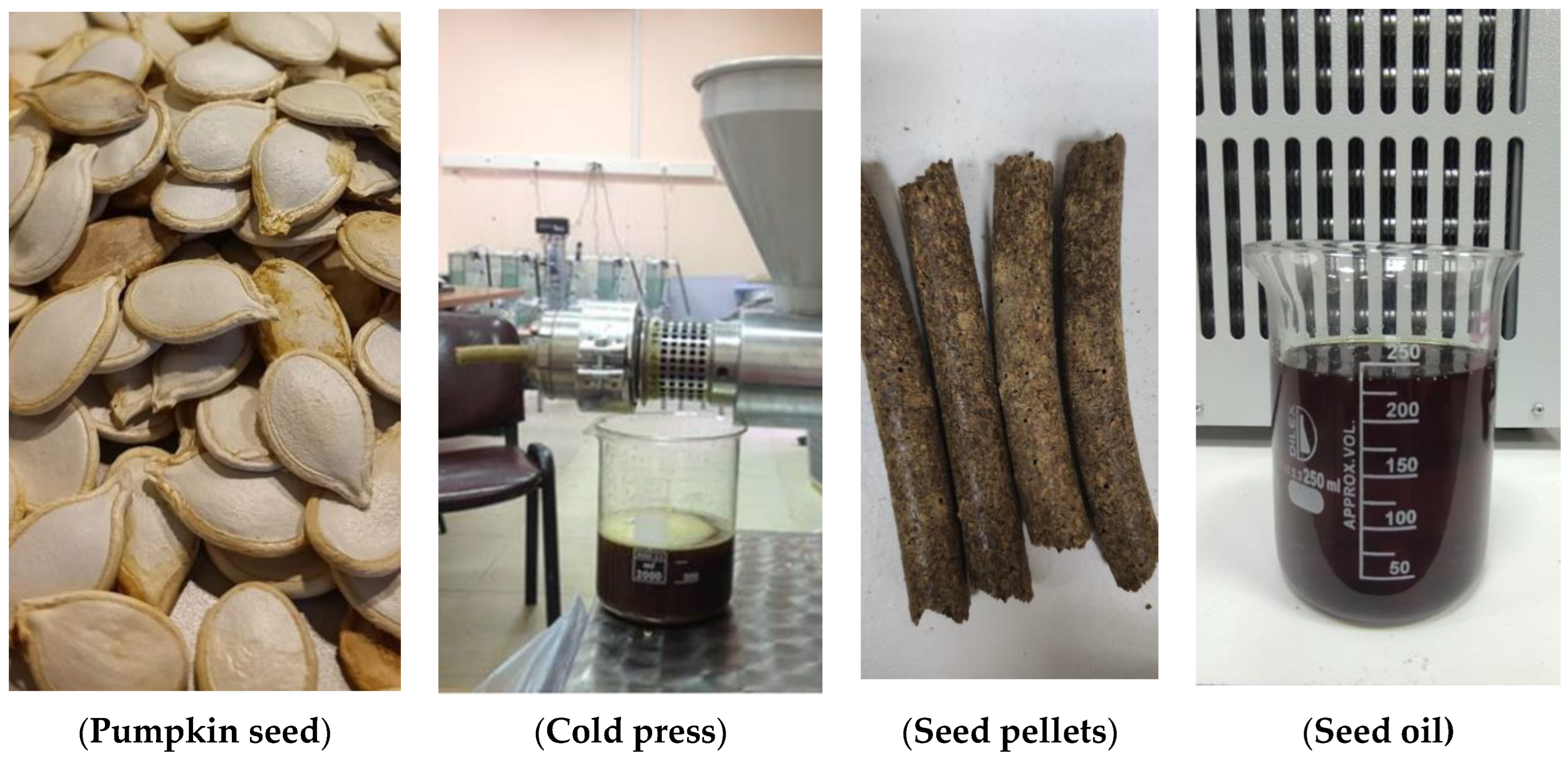 Processes 13 00572 g001