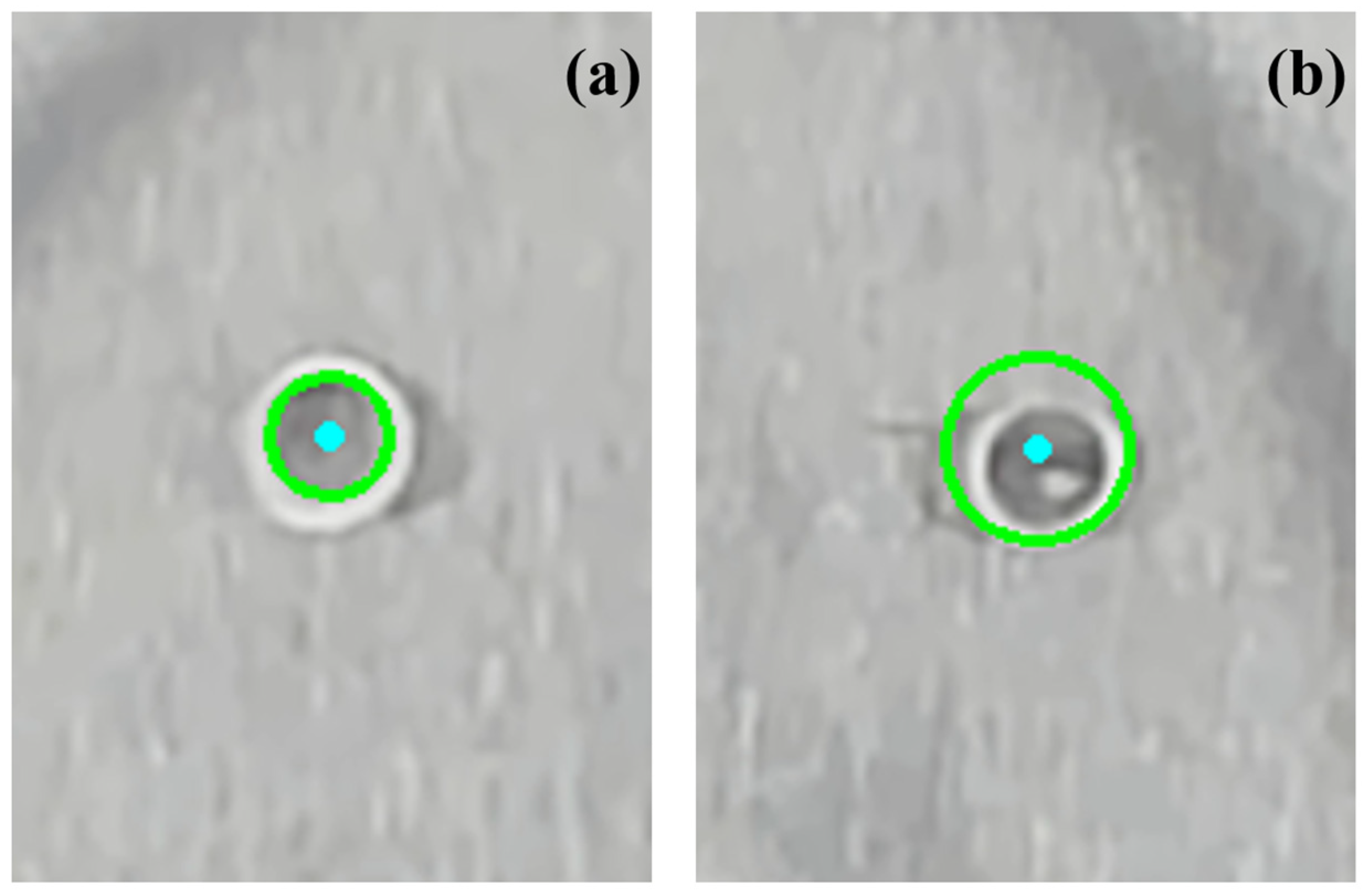 Processes 13 00586 g015