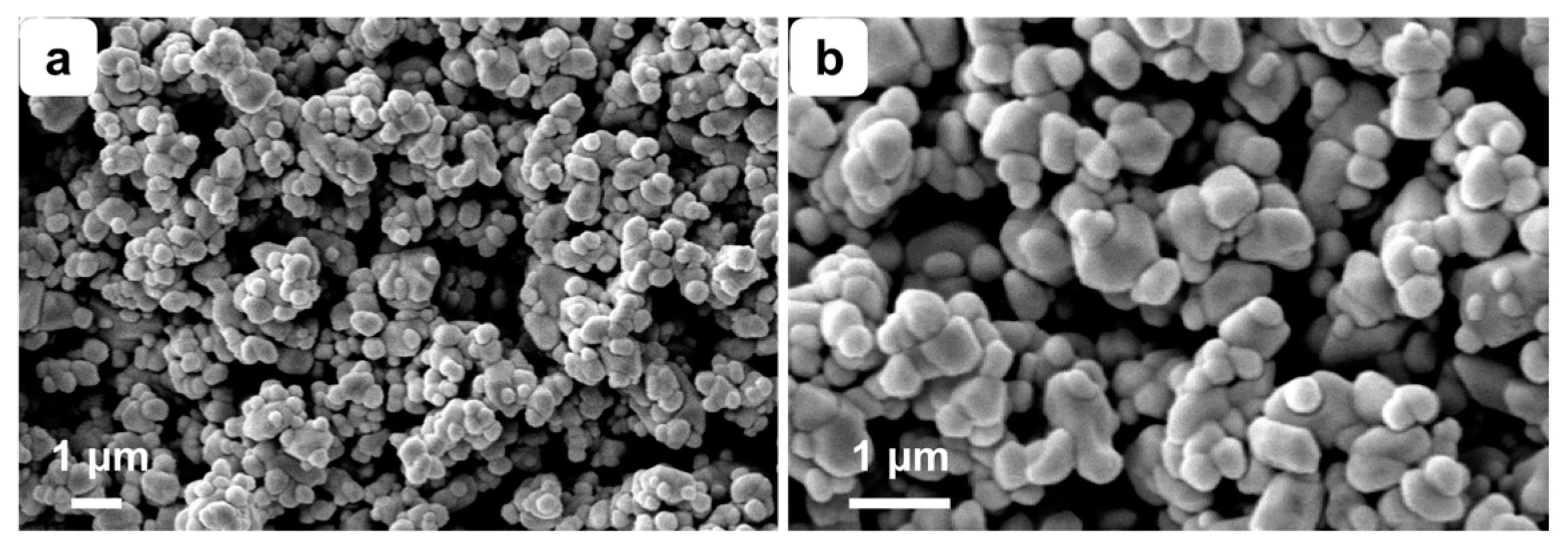 Processes 13 00596 g003