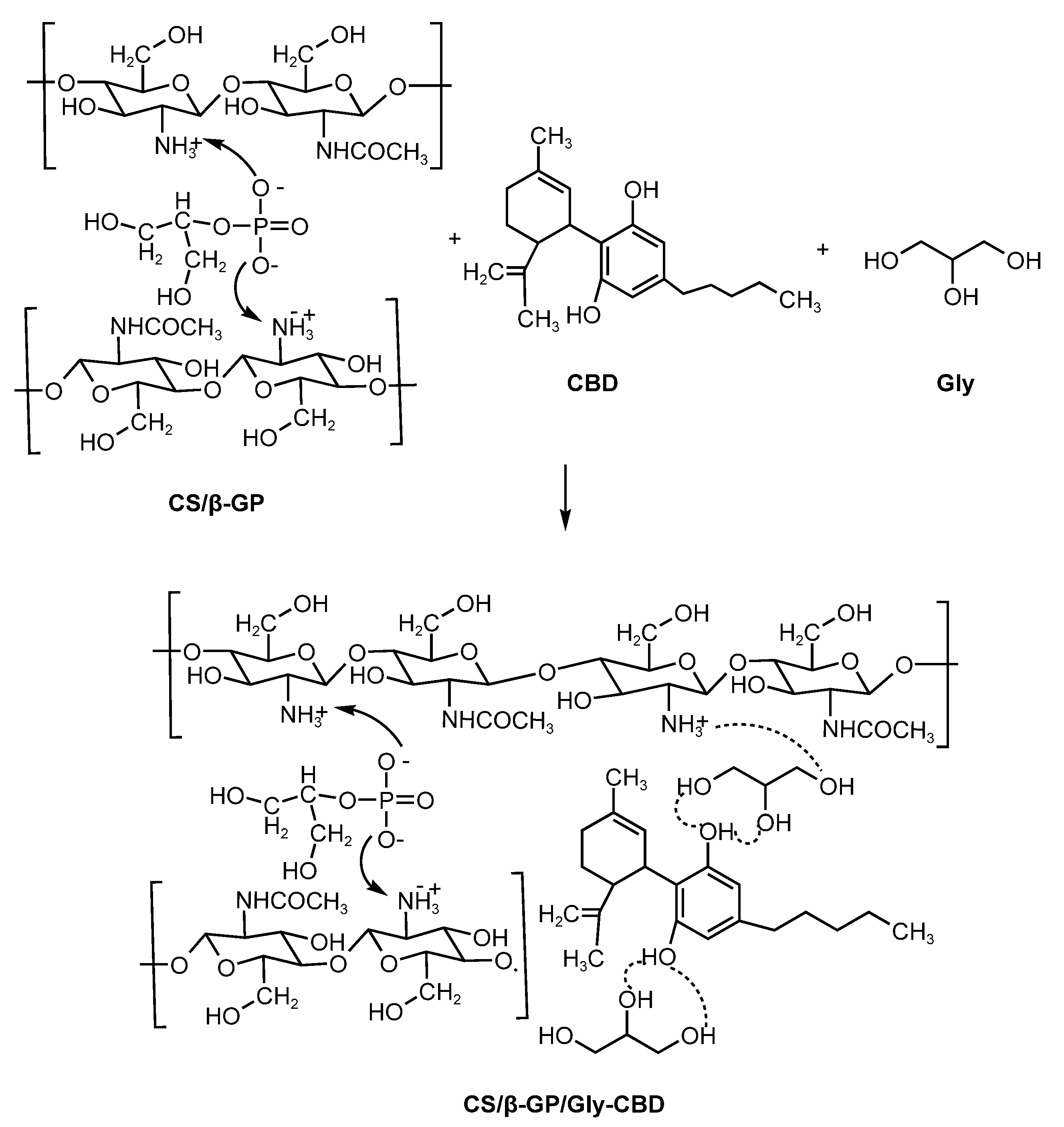 Processes 13 00617 g005