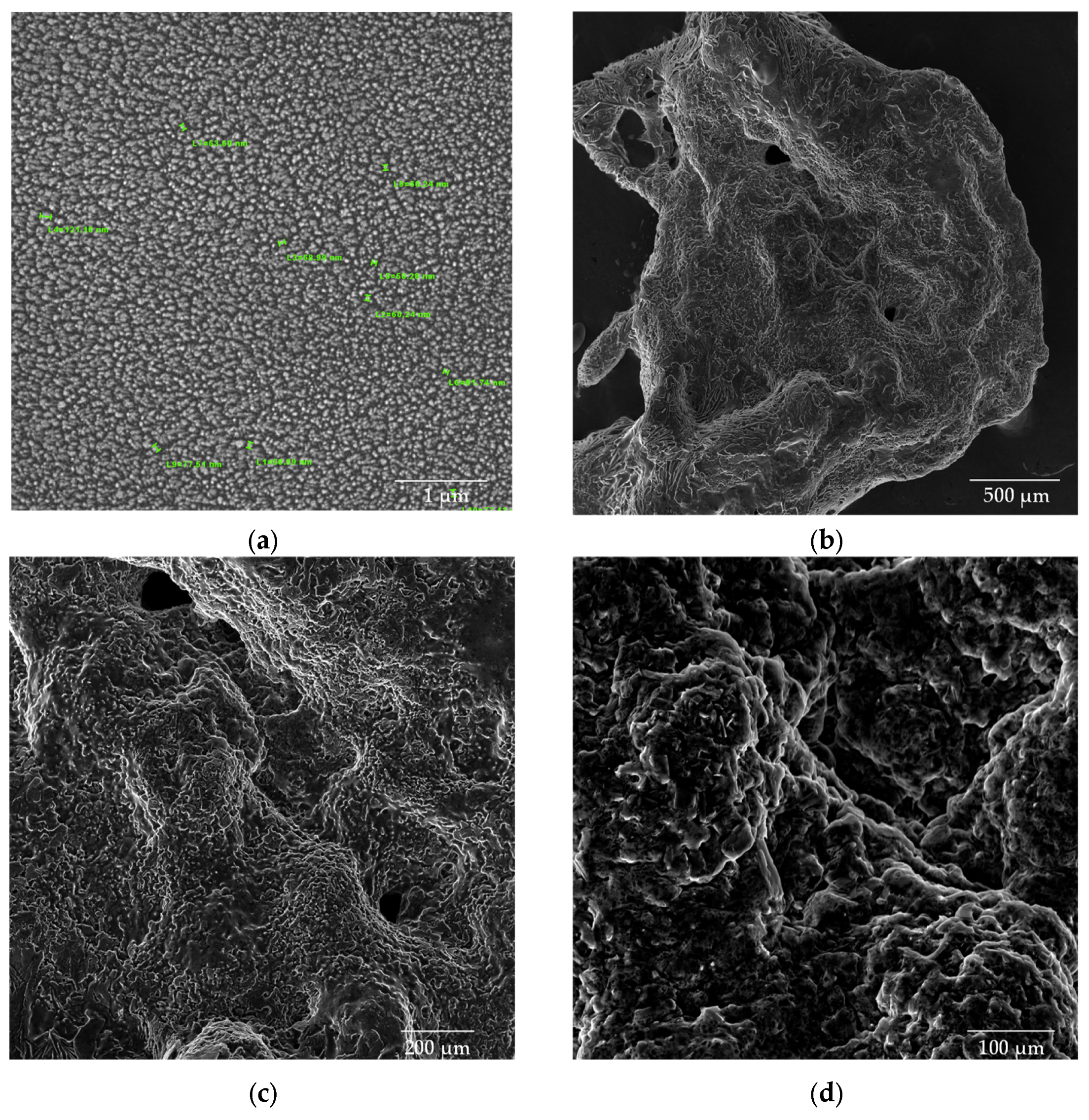 Processes 13 00617 g010