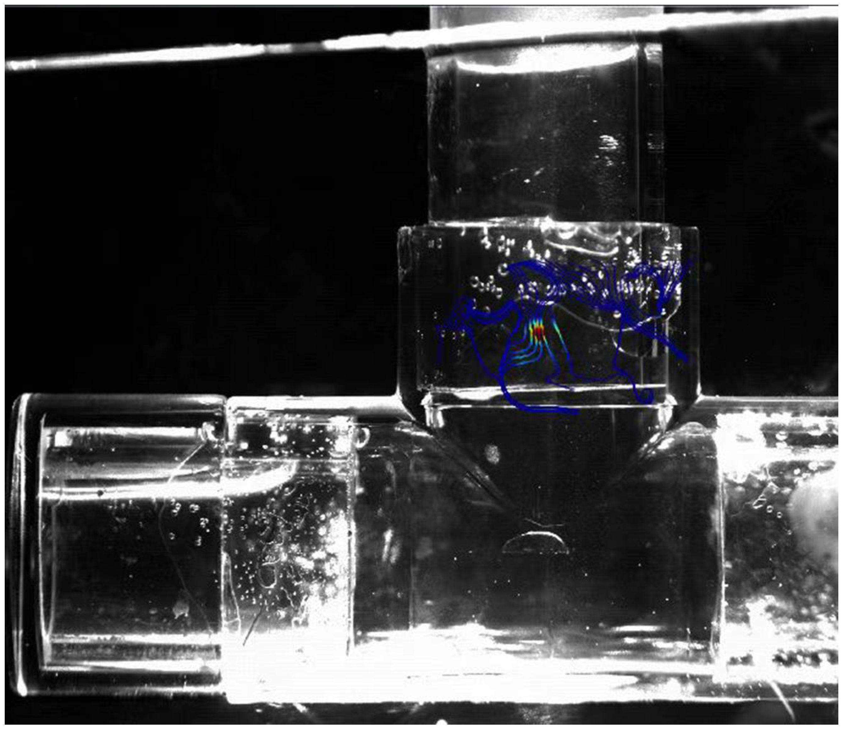 Processes 13 00619 g005