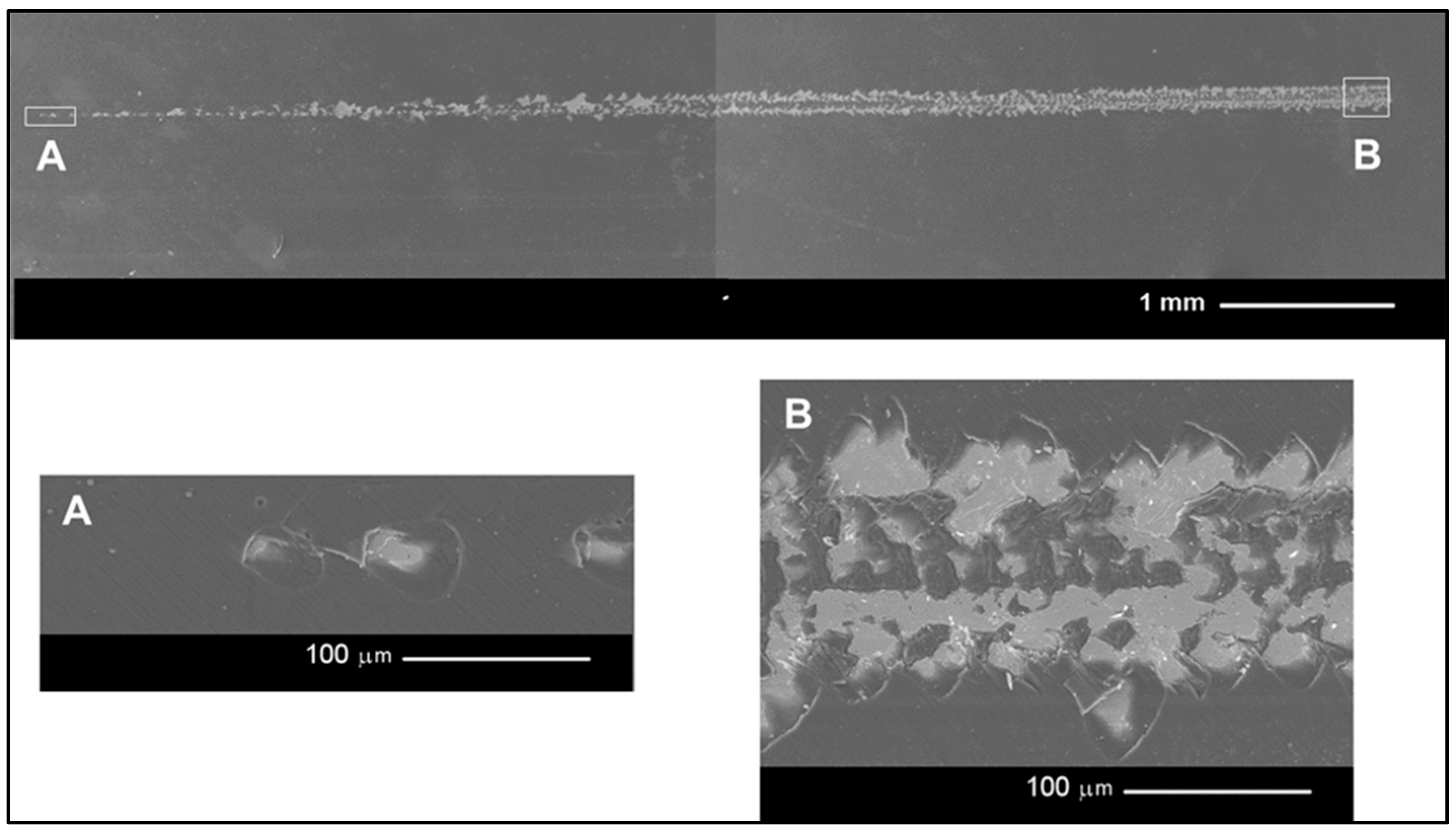 Processes 13 00624 g012