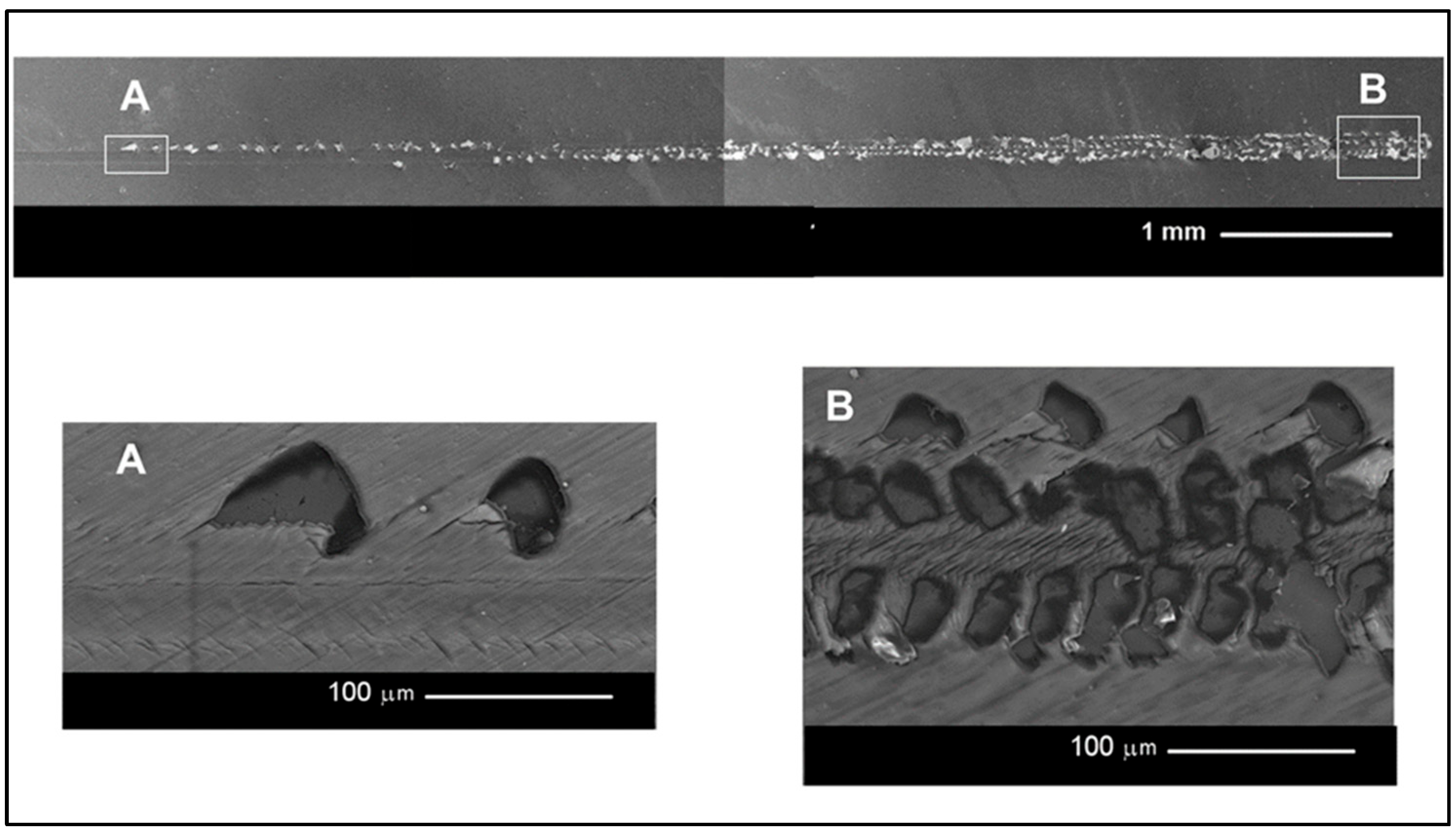 Processes 13 00624 g015
