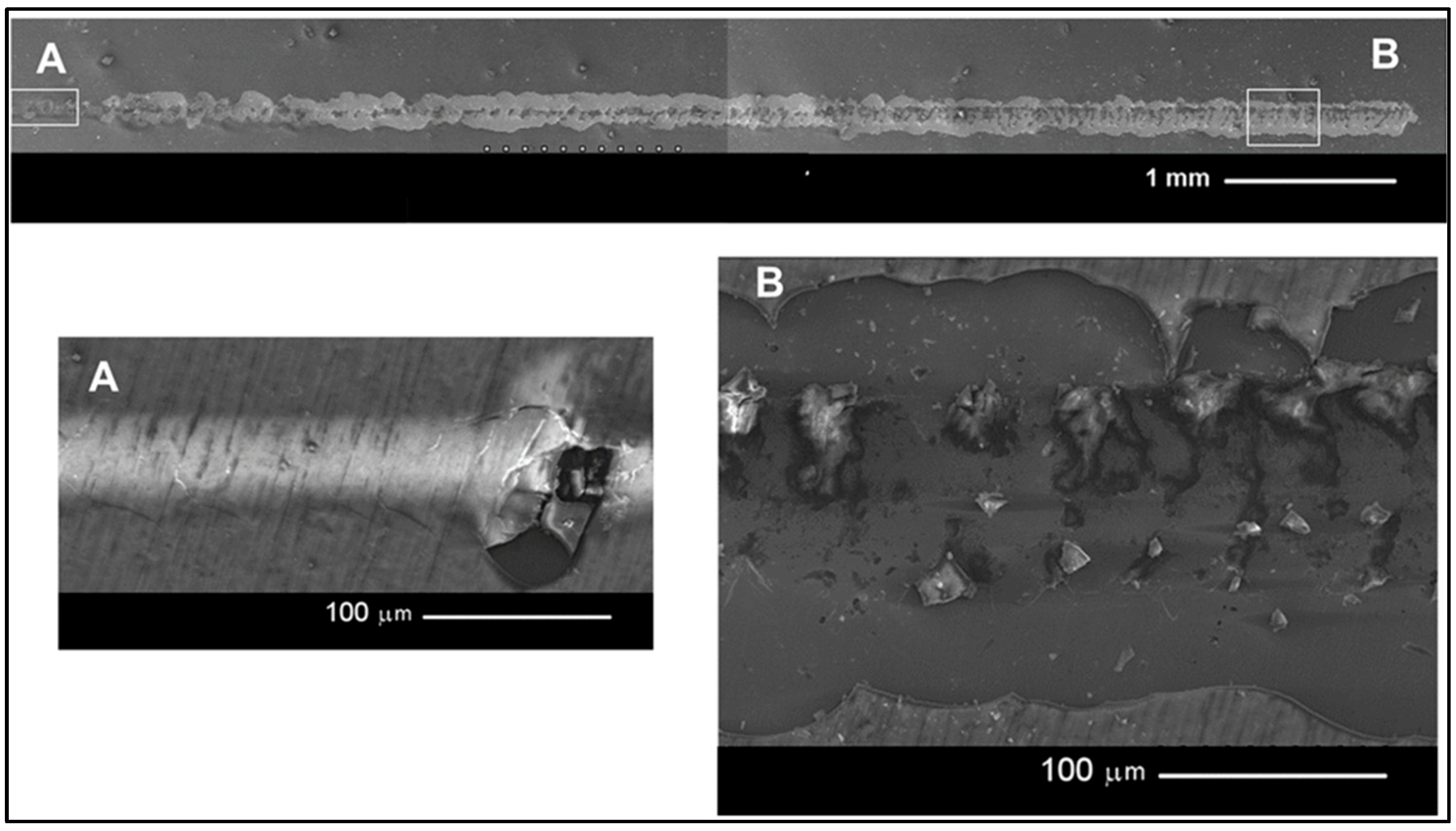 Processes 13 00624 g016