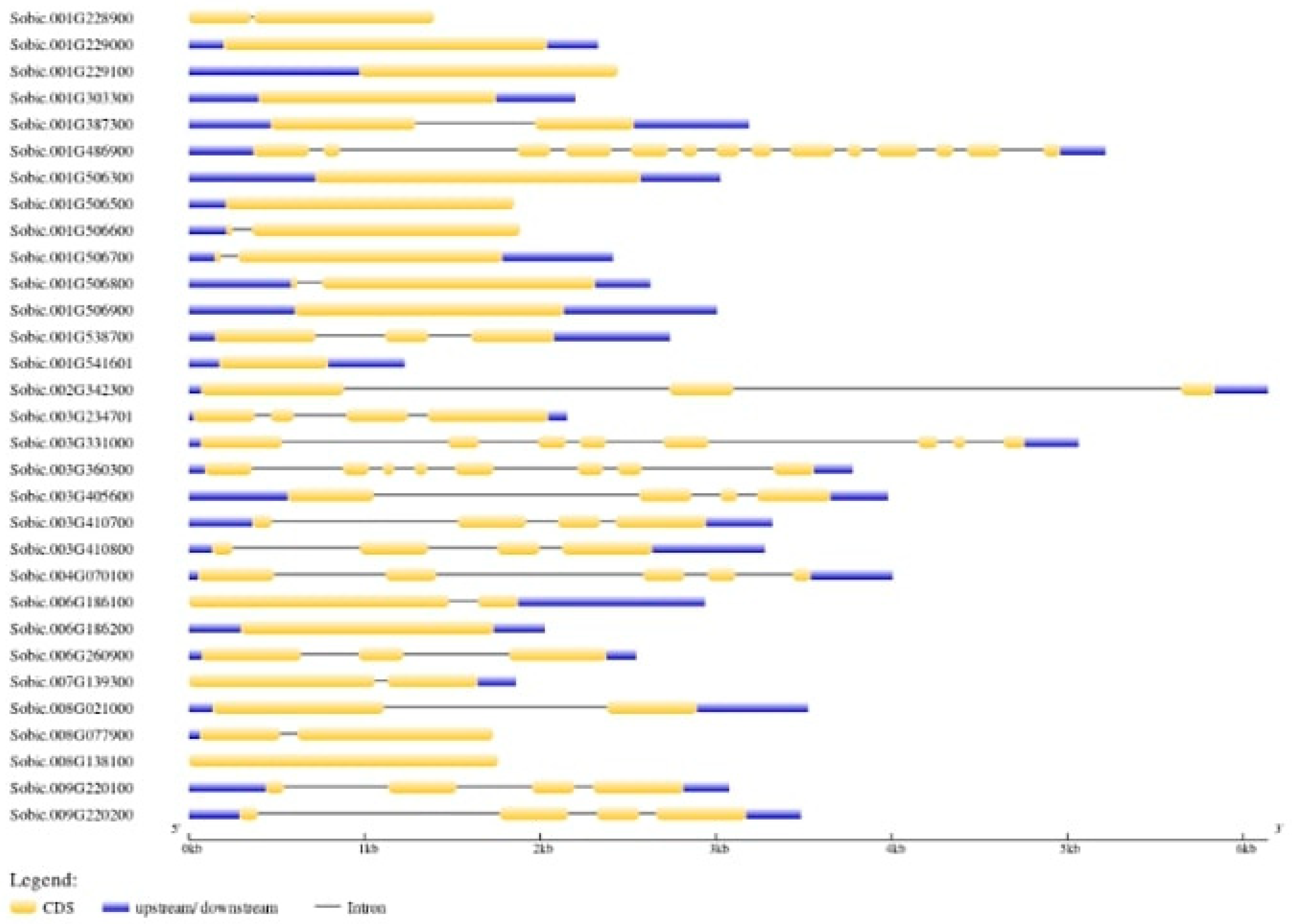 Processes 13 00628 g005