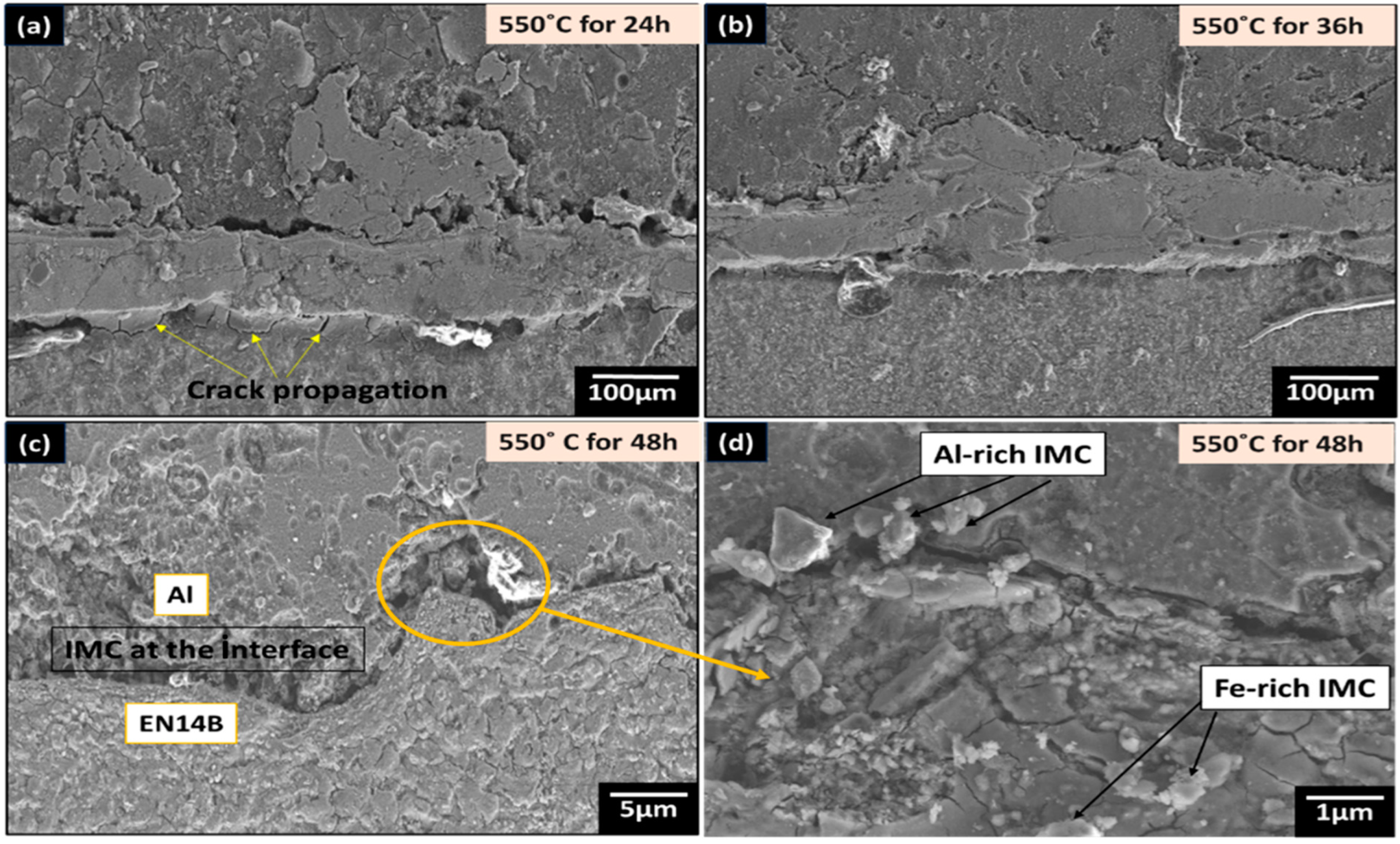 Processes 13 00637 g007