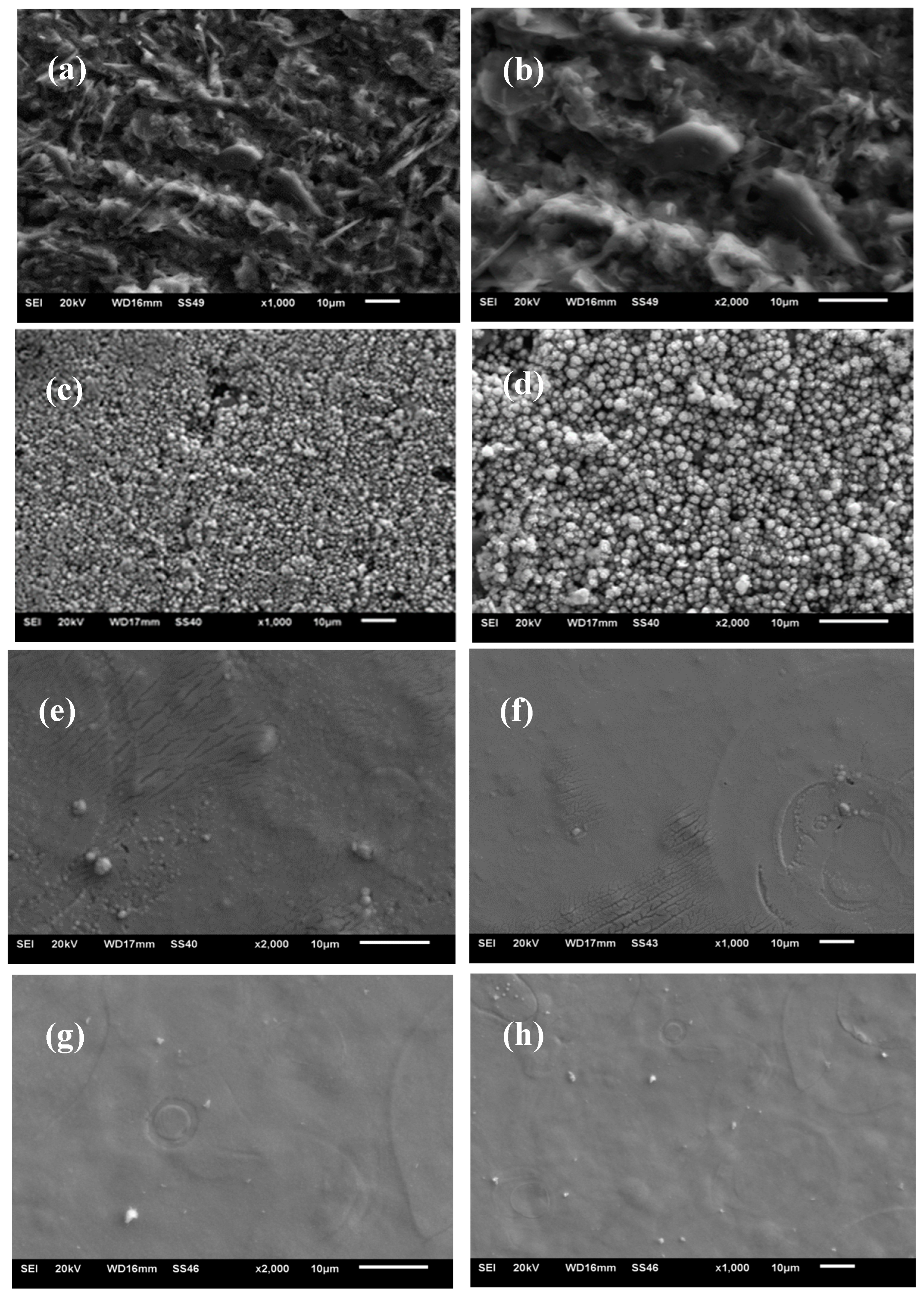 Processes 13 00644 g005