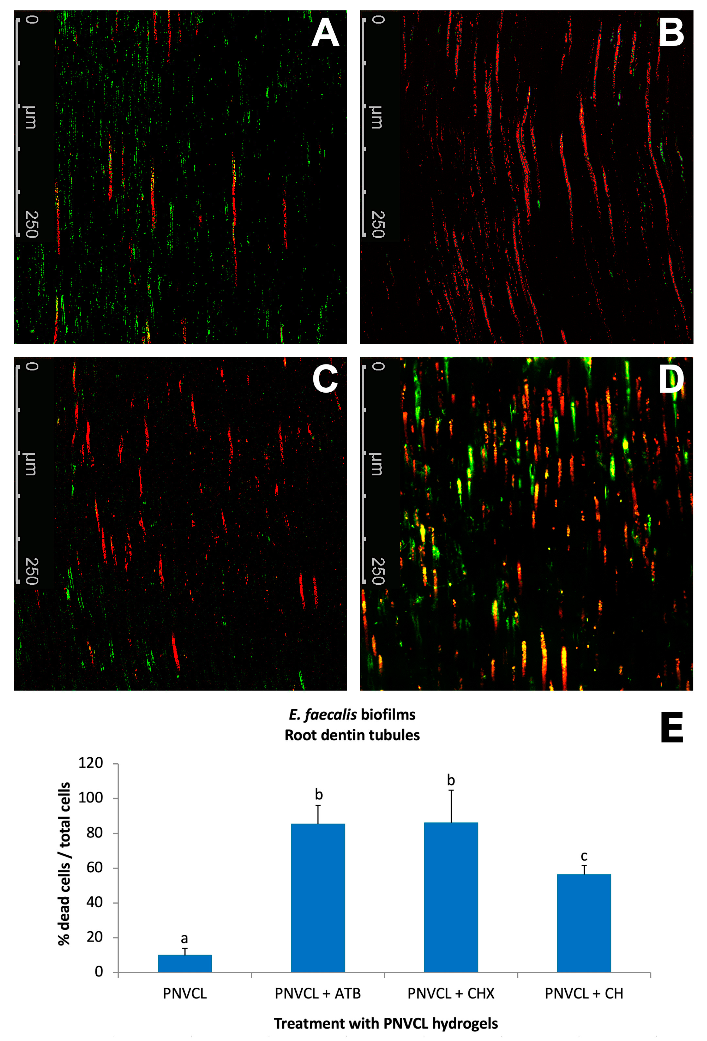 Processes 13 00661 g006