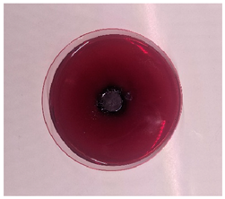 Processes 13 00662 i003