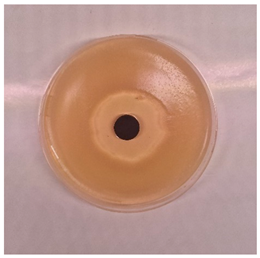 Processes 13 00662 i005