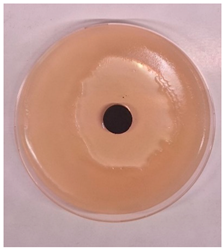 Processes 13 00662 i006