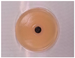 Processes 13 00662 i007