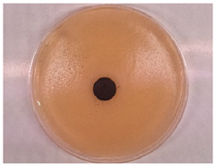 Processes 13 00662 i009