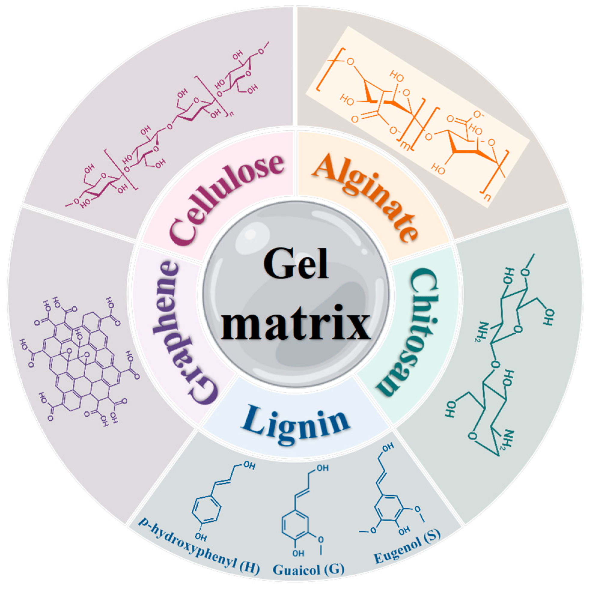 Processes 13 00664 g002