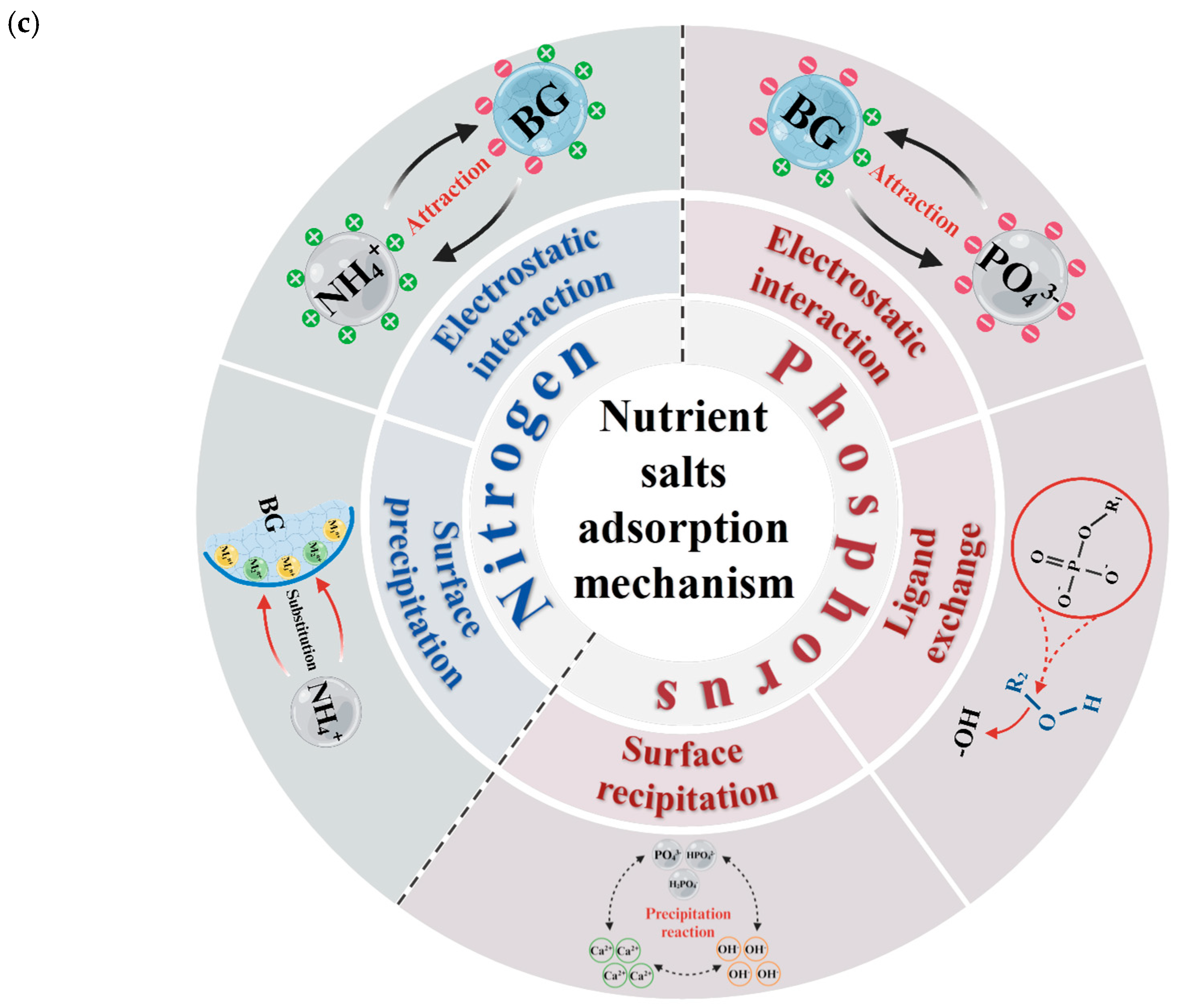 Processes 13 00664 g003b