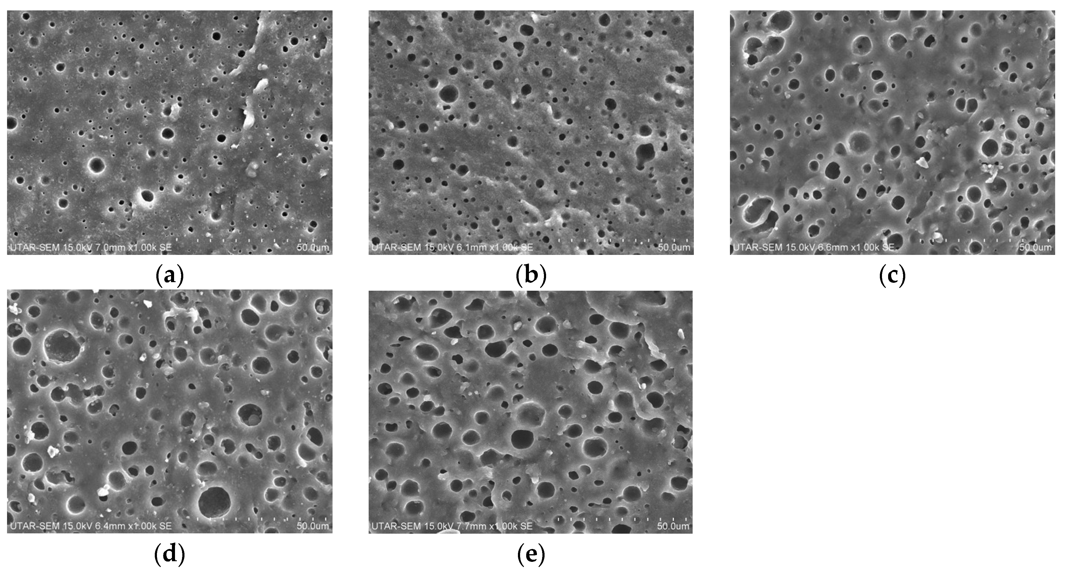 Processes 13 00677 g003