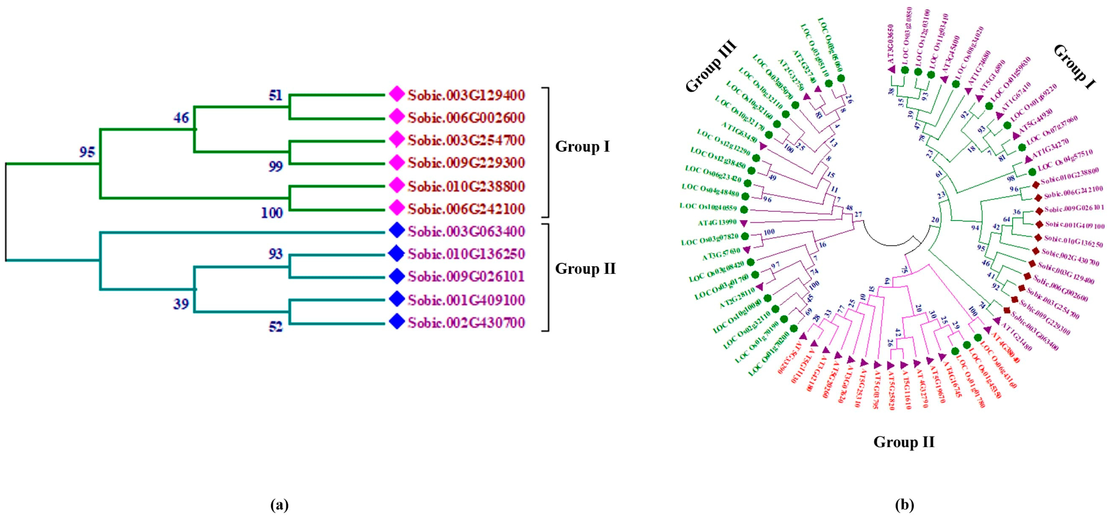 Processes 13 00709 g001 Processes 13 00709 g001