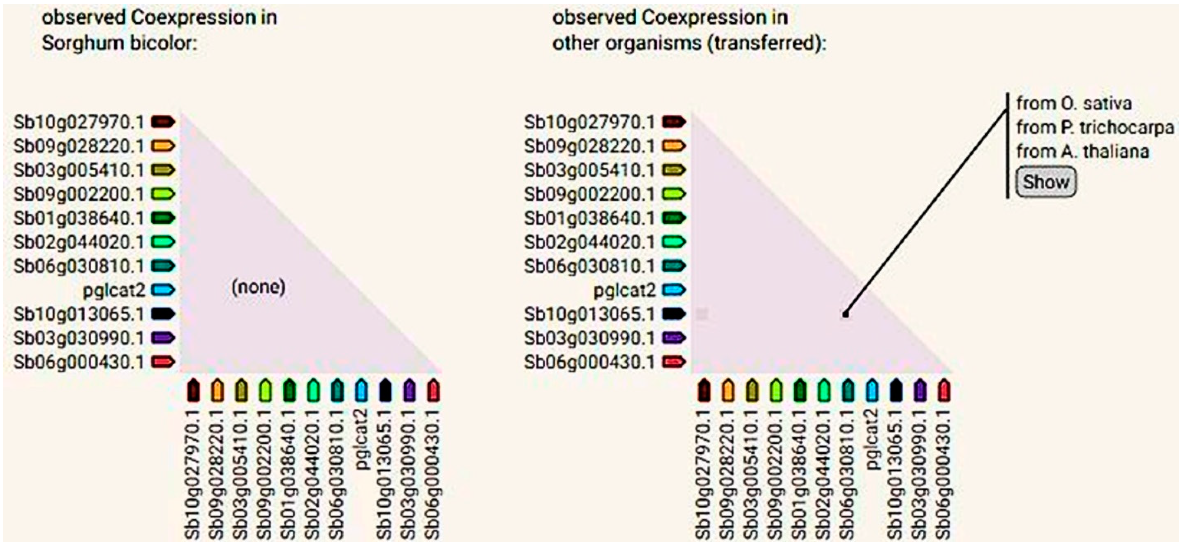 Processes 13 00709 g004 Processes 13 00709 g004