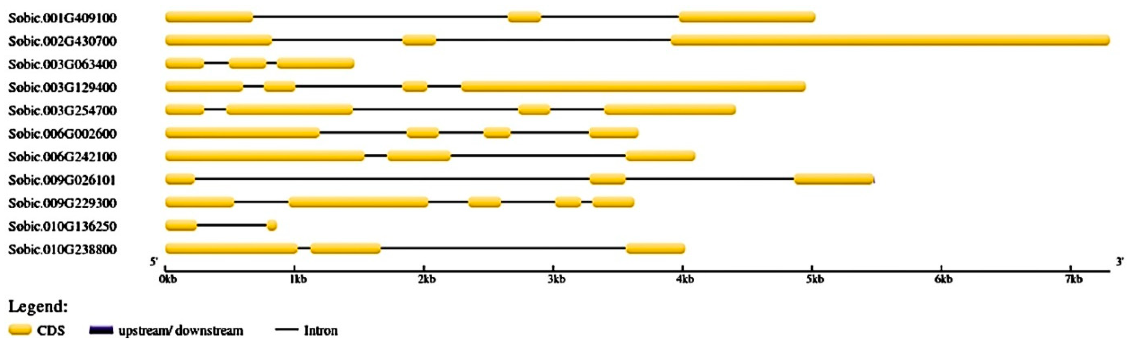 Processes 13 00709 g008 Processes 13 00709 g008