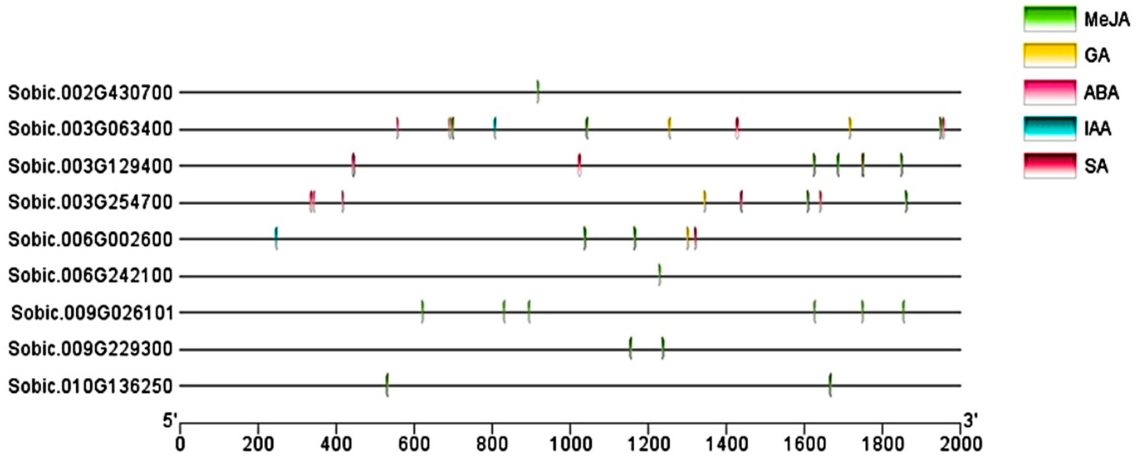 Processes 13 00709 g010 Processes 13 00709 g010