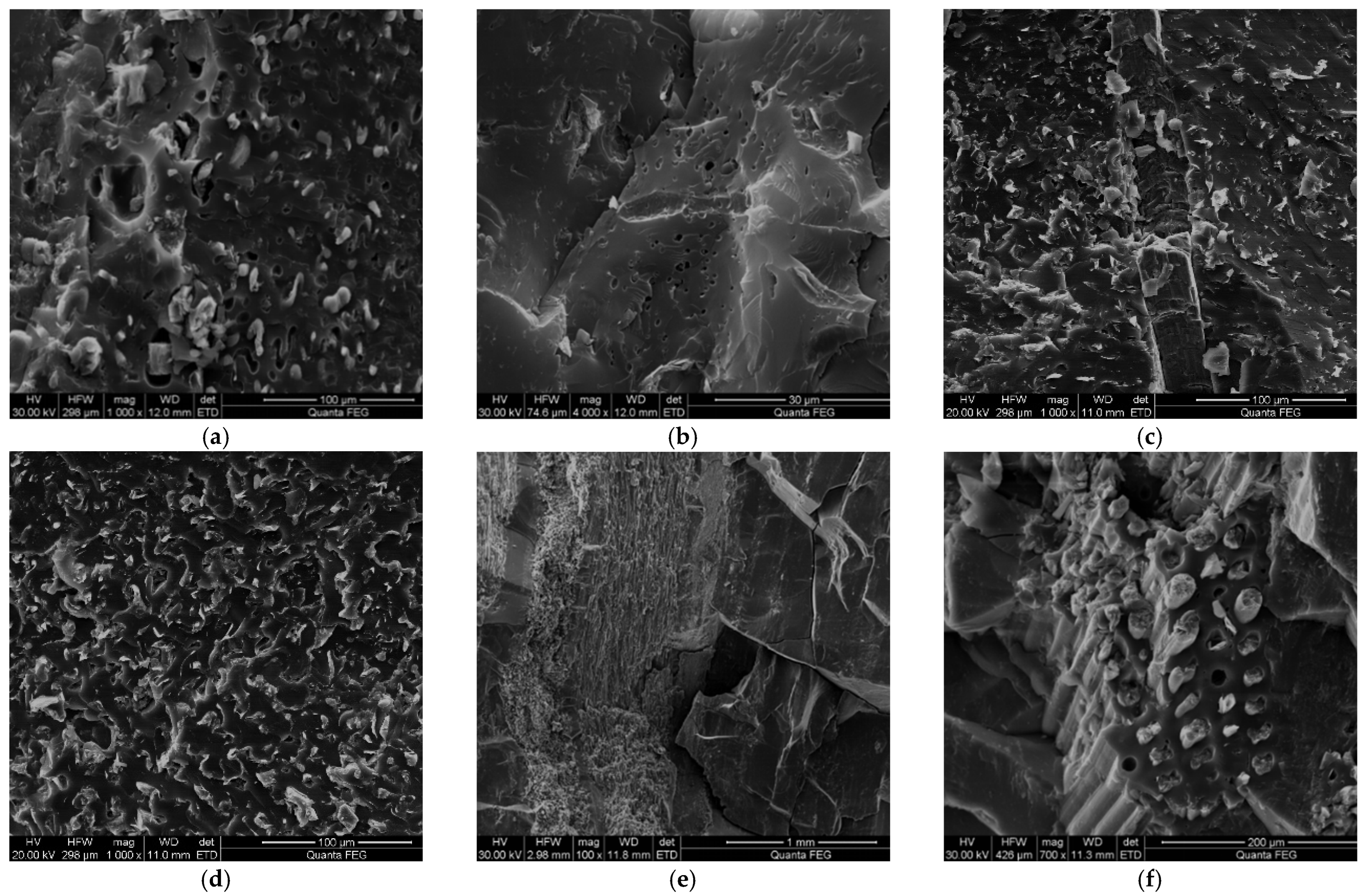 Processes 13 00710 g004