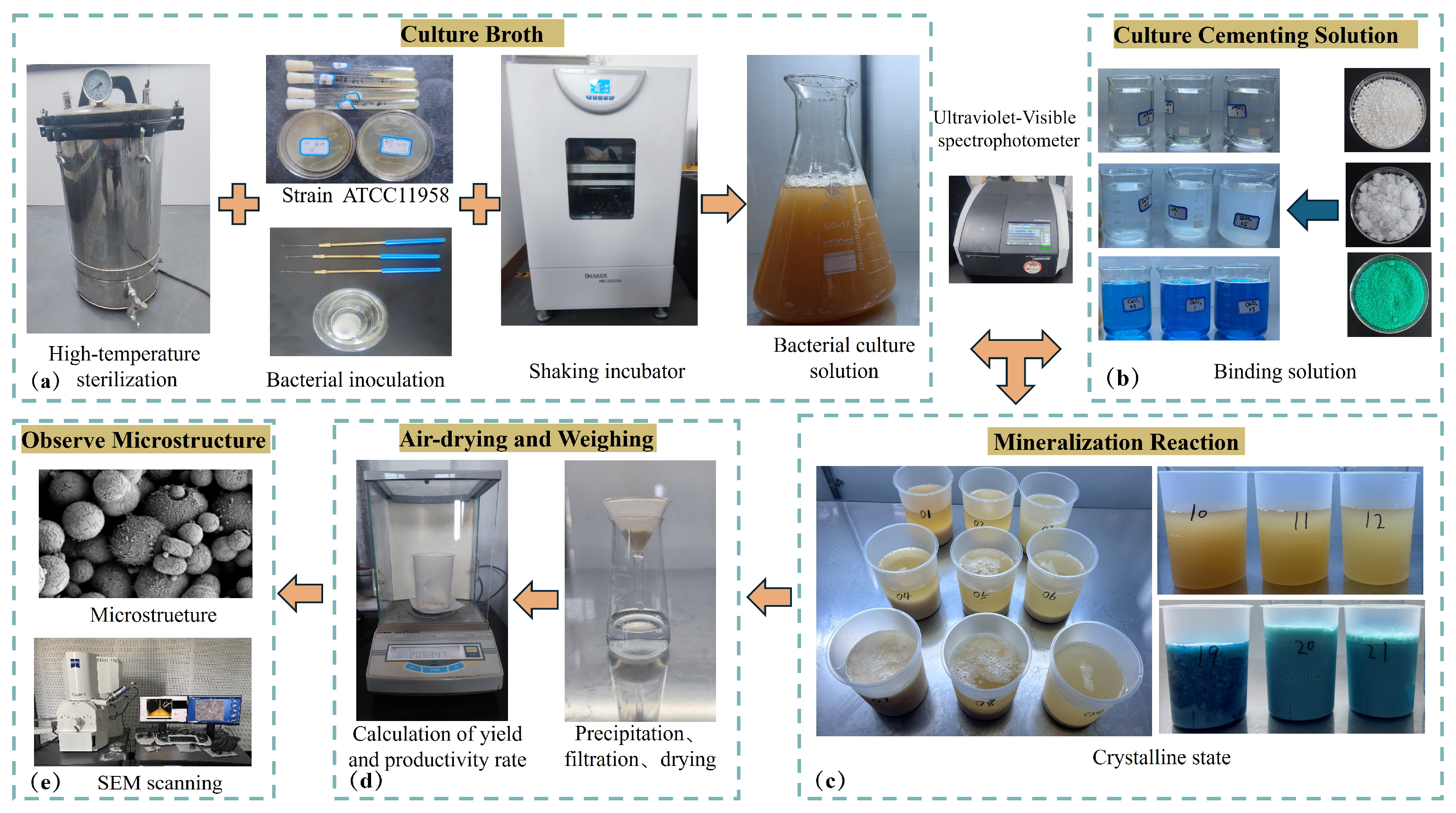 Processes 13 00711 g001
